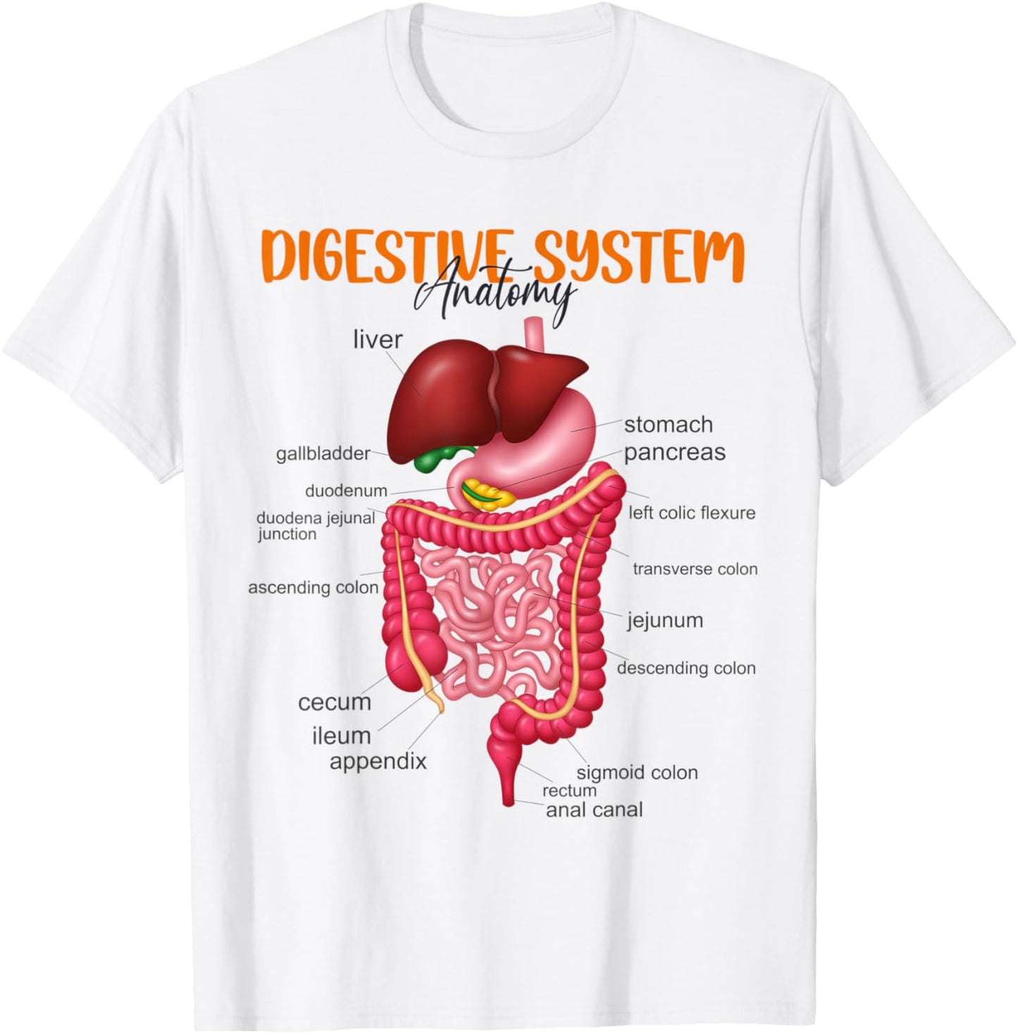 Funny Digestive System Anatomy Anatomical Biology Teacher Women T-Shirt - T-Shirt | White