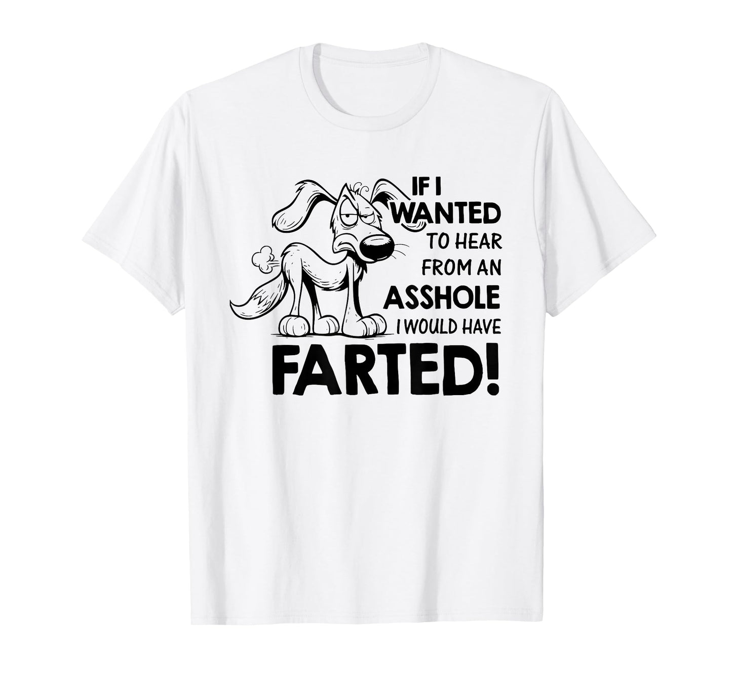 If I Wanted to Hear from an Asshole I Would Have Farted T-Shirt