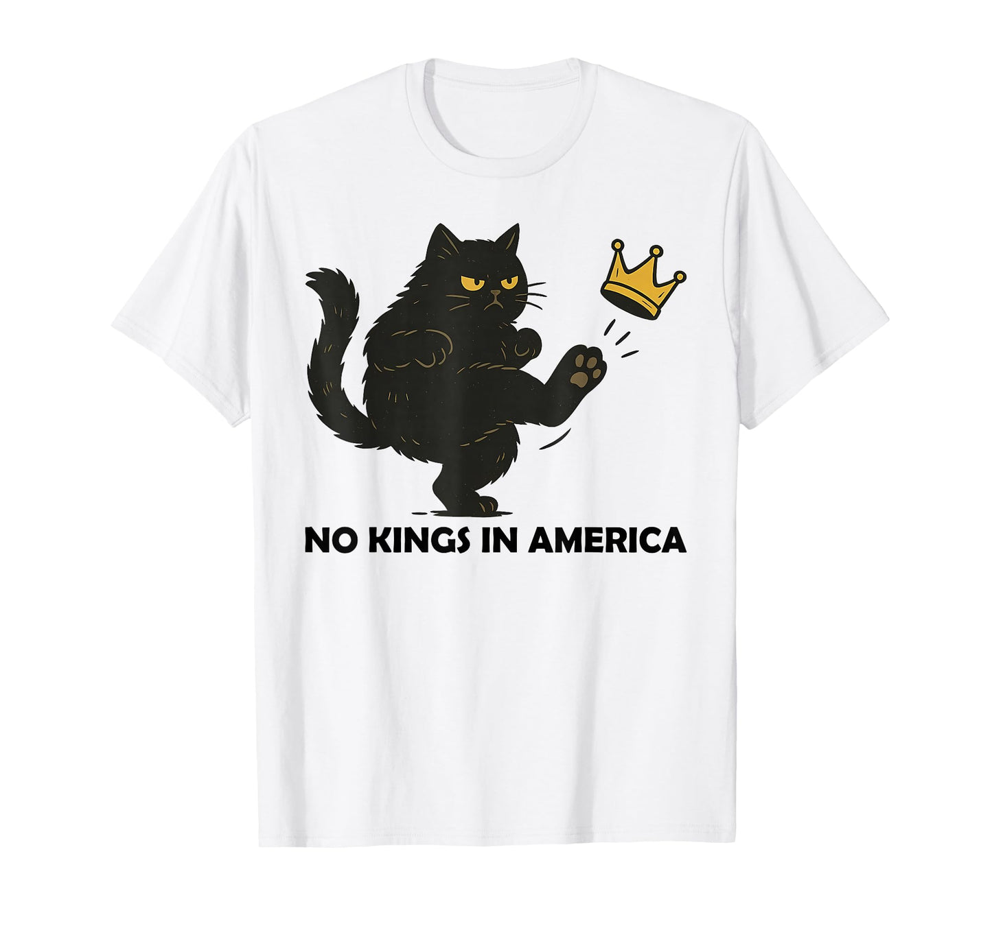 No Kings In America We The People Political Men Women T-Shirt