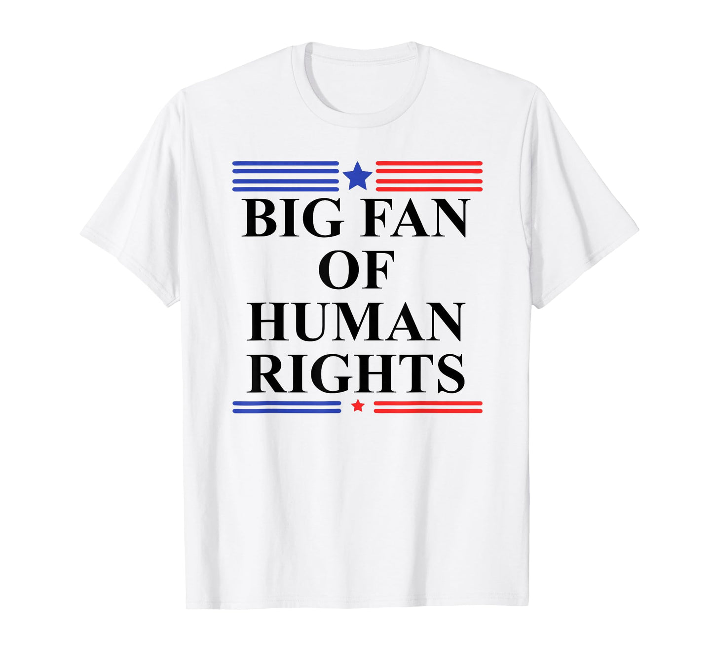 Big Fan of Human Rights Protest Sign Pro Democracy No Kings T-Shirt