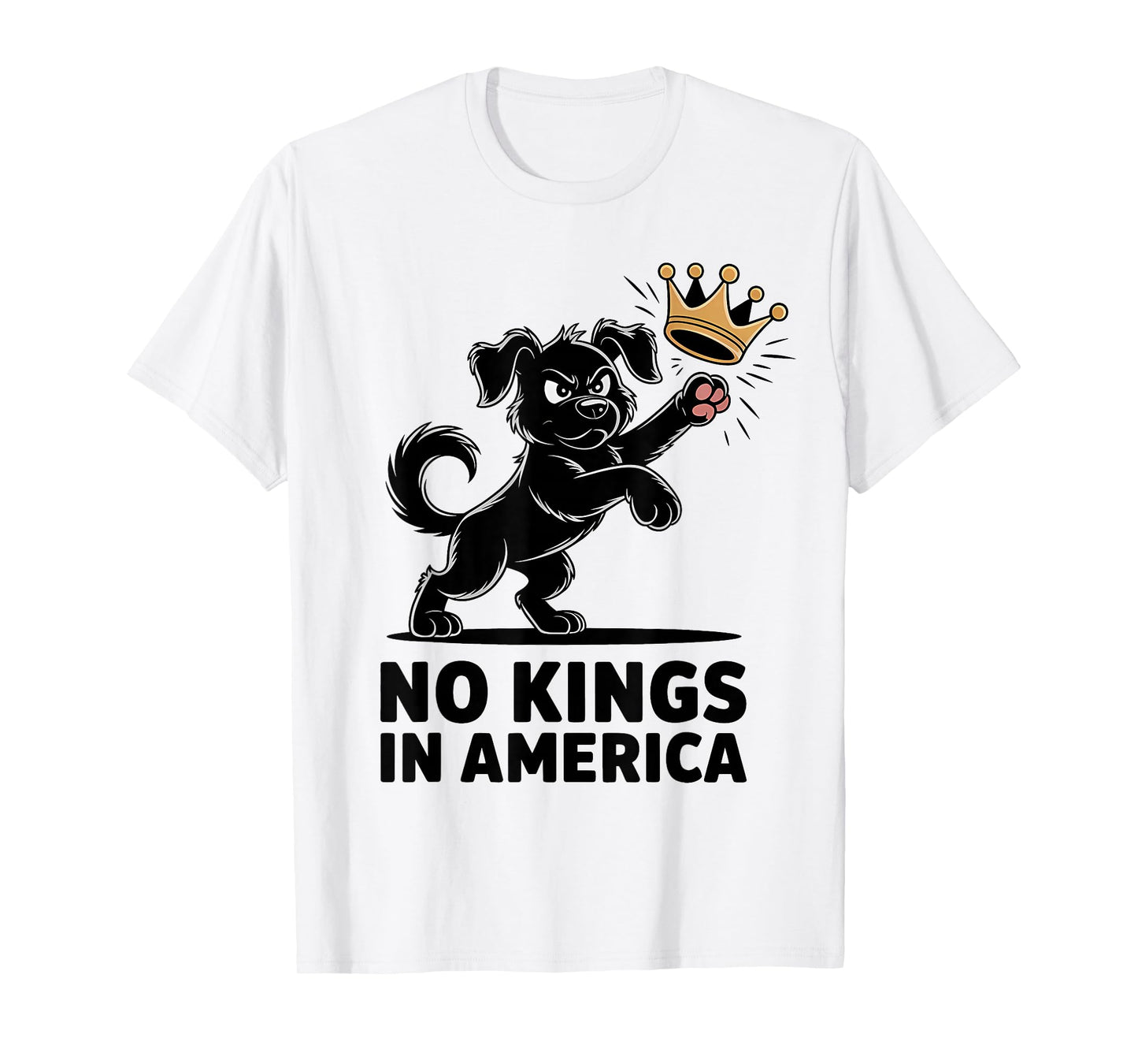 No Kings in America T-Shirt