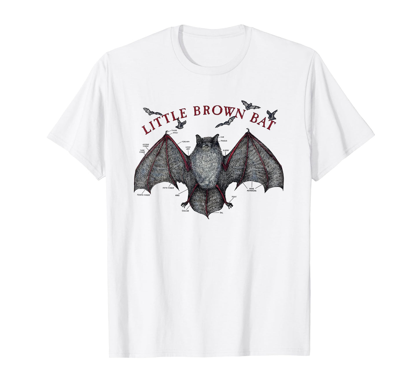 Little Brown Bat Anatomy Science Diagram T-Shirt