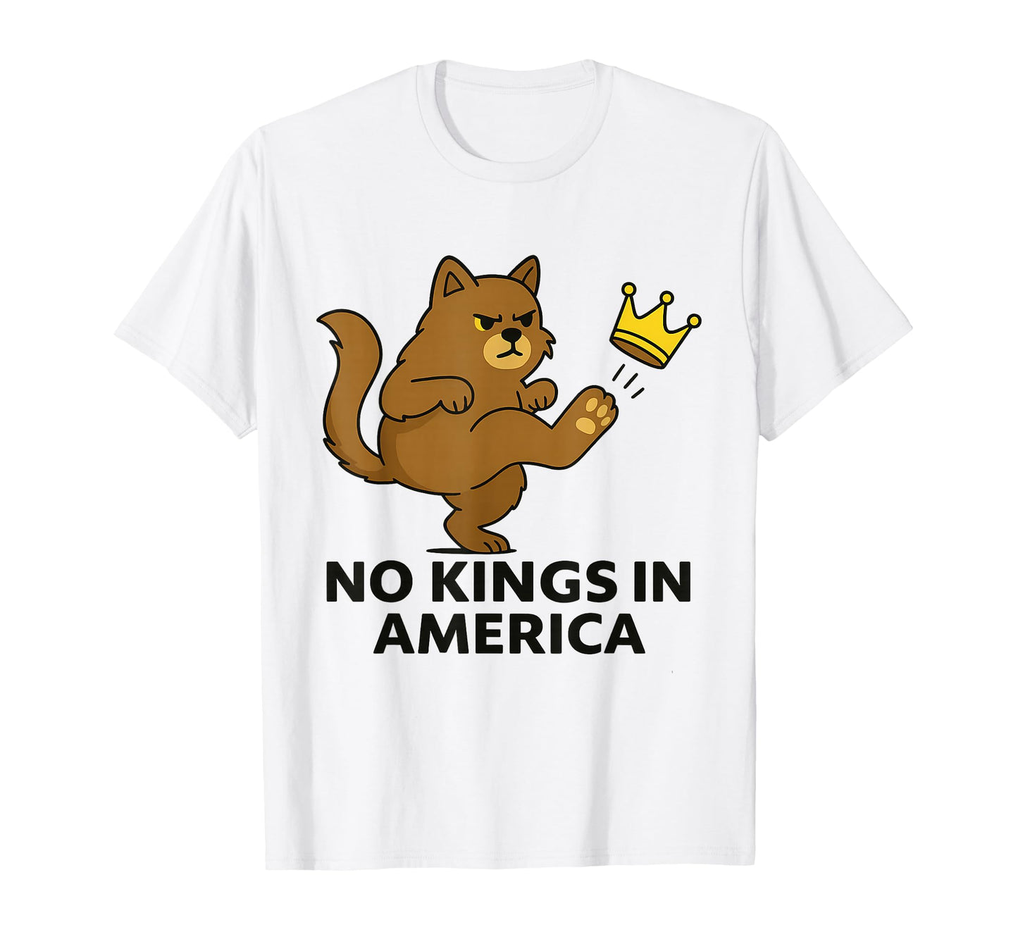 No Kings in America We The People Political Men Women T-Shirt