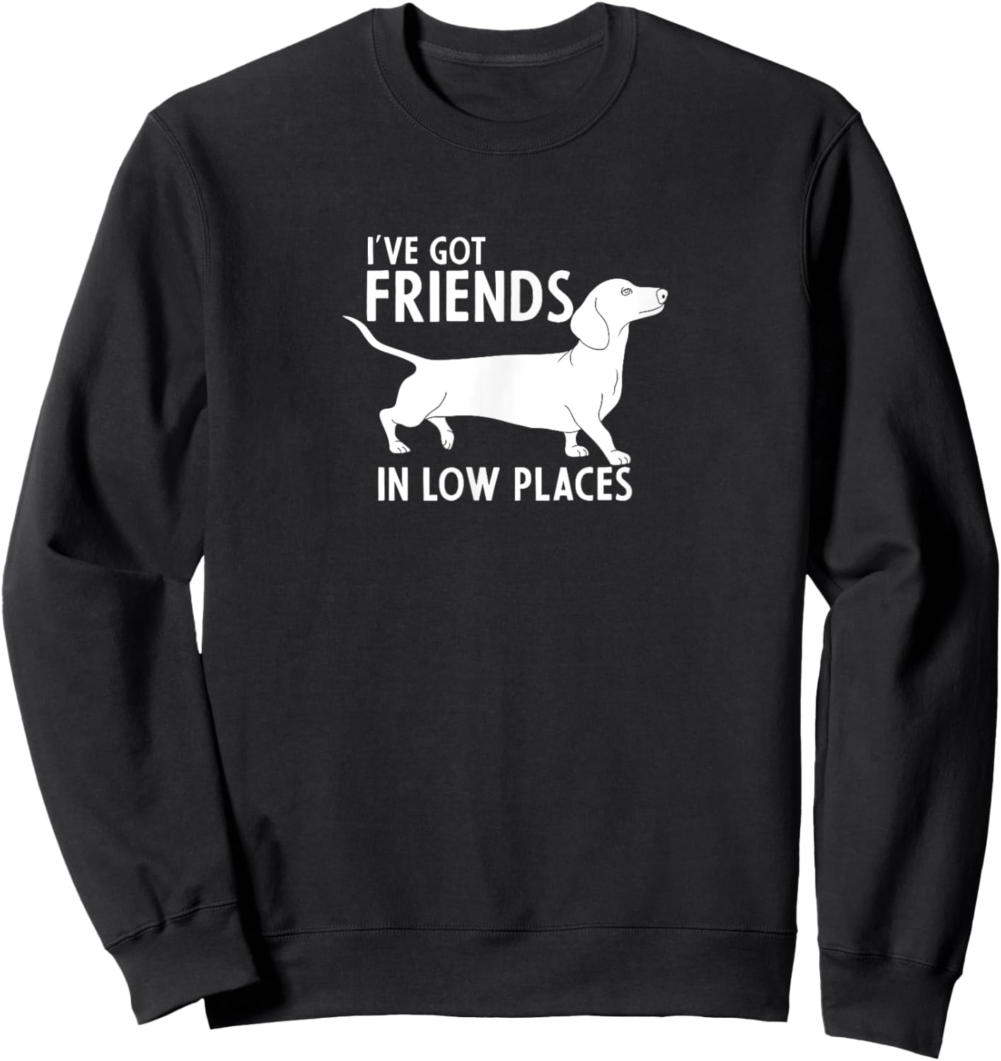 Dachshund I've Got Friends in Low Places Cute Dog Lover Sweatshirt - Sweatshirt | Black