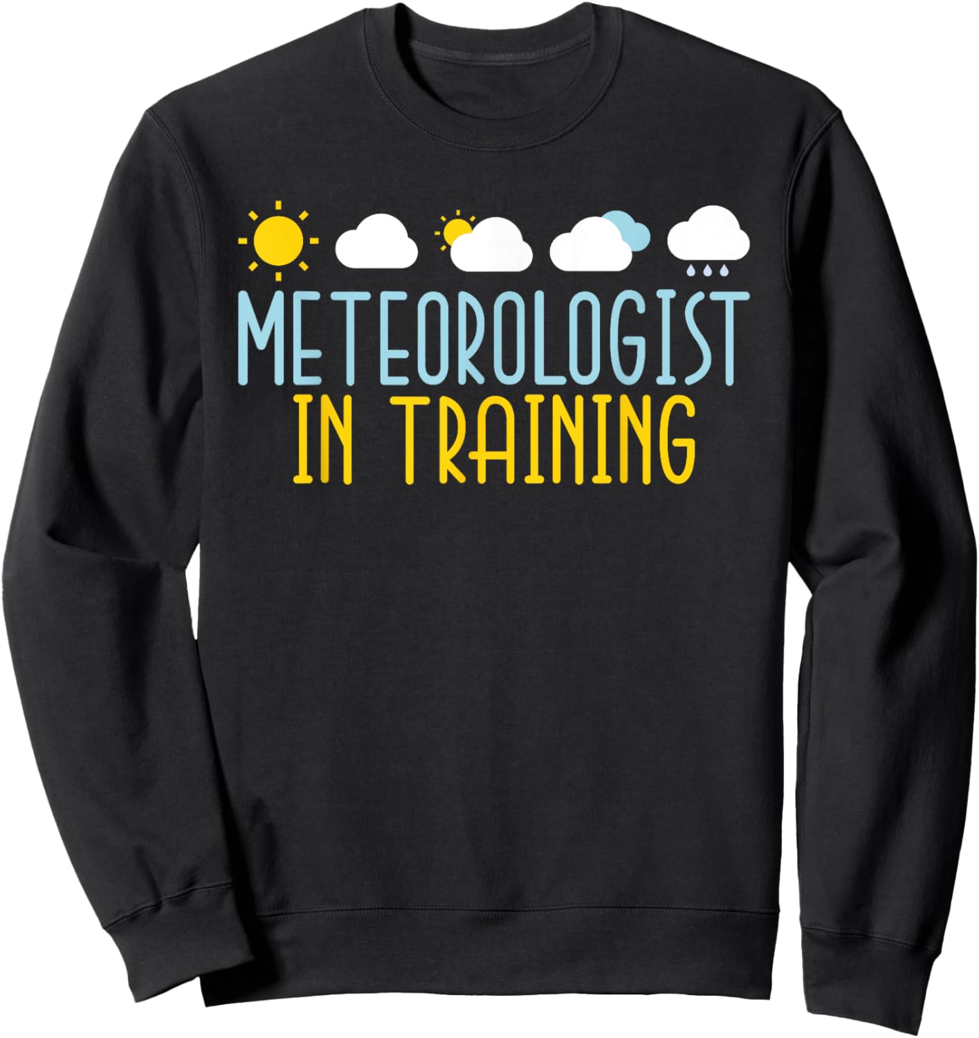 Meteorologist in Training Weather Chaser Meteorology Sweatshirt - Sweatshirt | Black