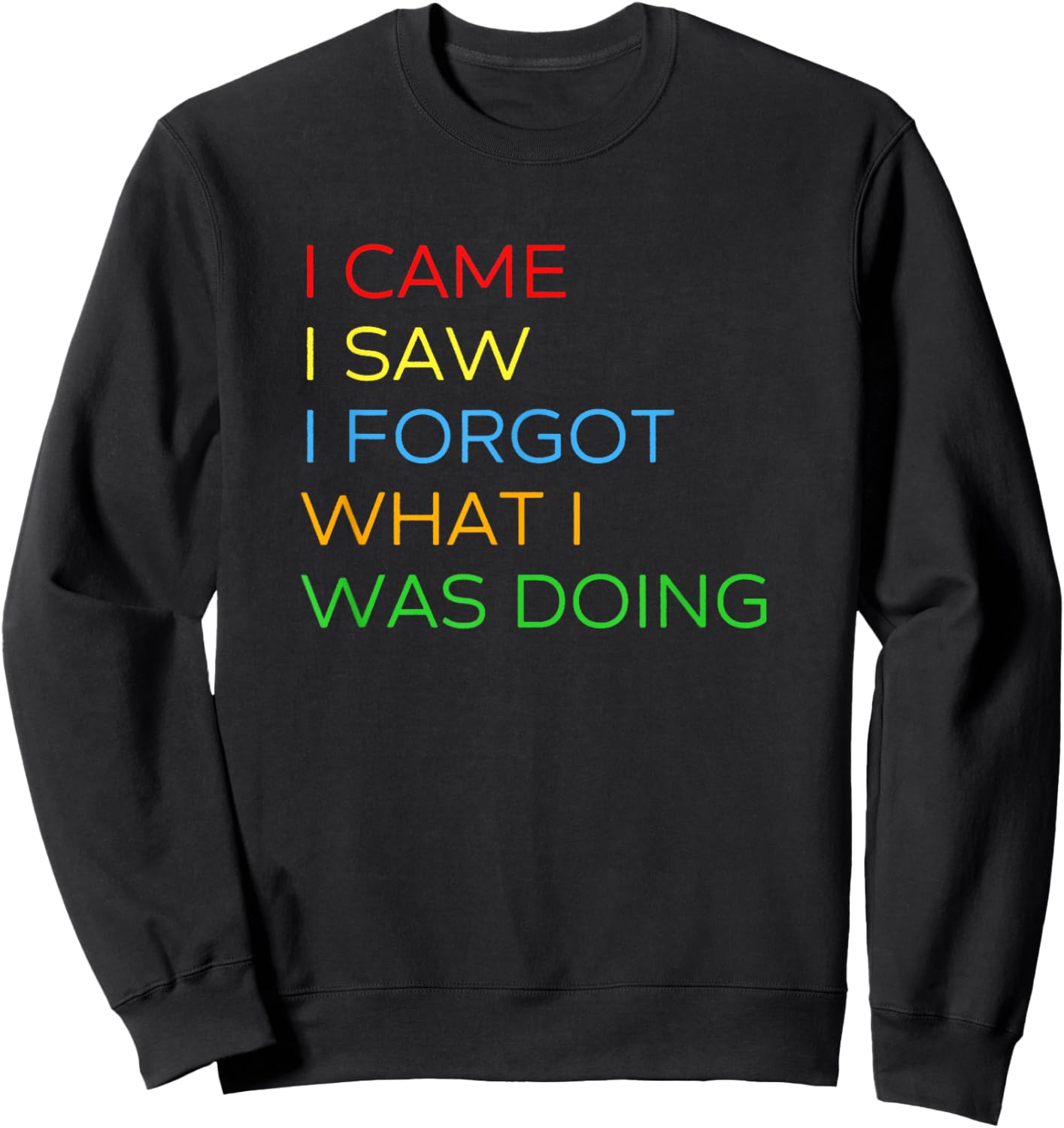 I Came I Saw I Forgot What I Was Doing - Funny Saying Sweatshirt - Sweatshirt | Black