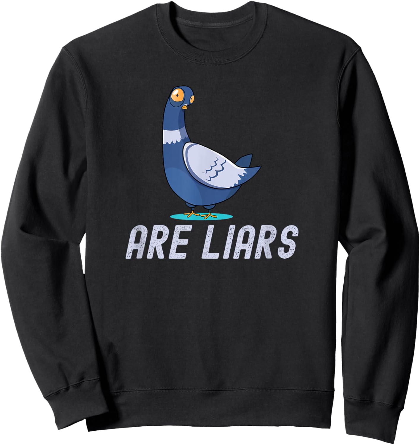 Birds Spies Pigeons Aren`t Real Pigeons Are Liars Sweatshirt - Sweatshirt | Black