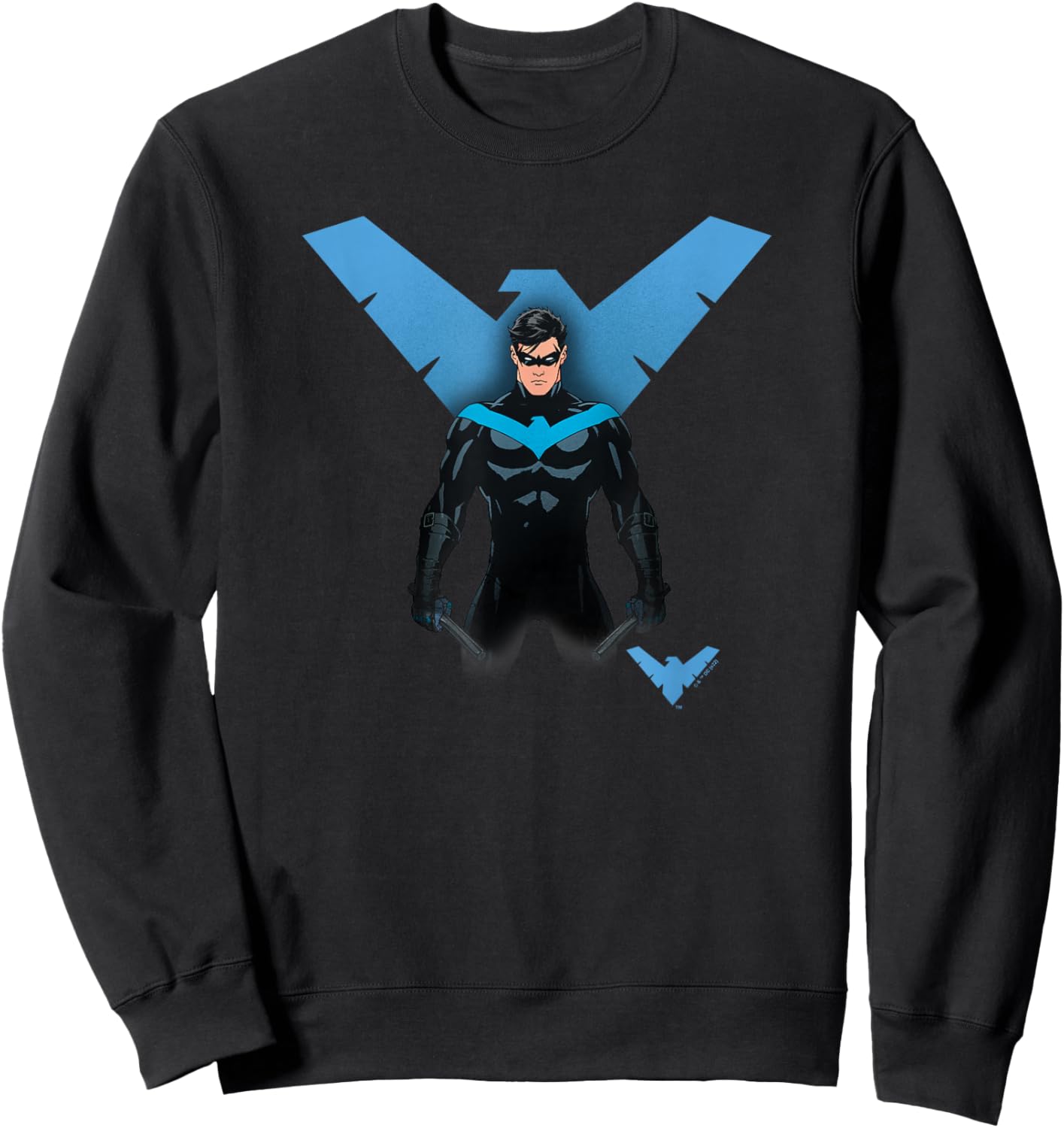 DC Comics Batman Nightwing Hero Pose Sweatshirt - Sweatshirt | Black