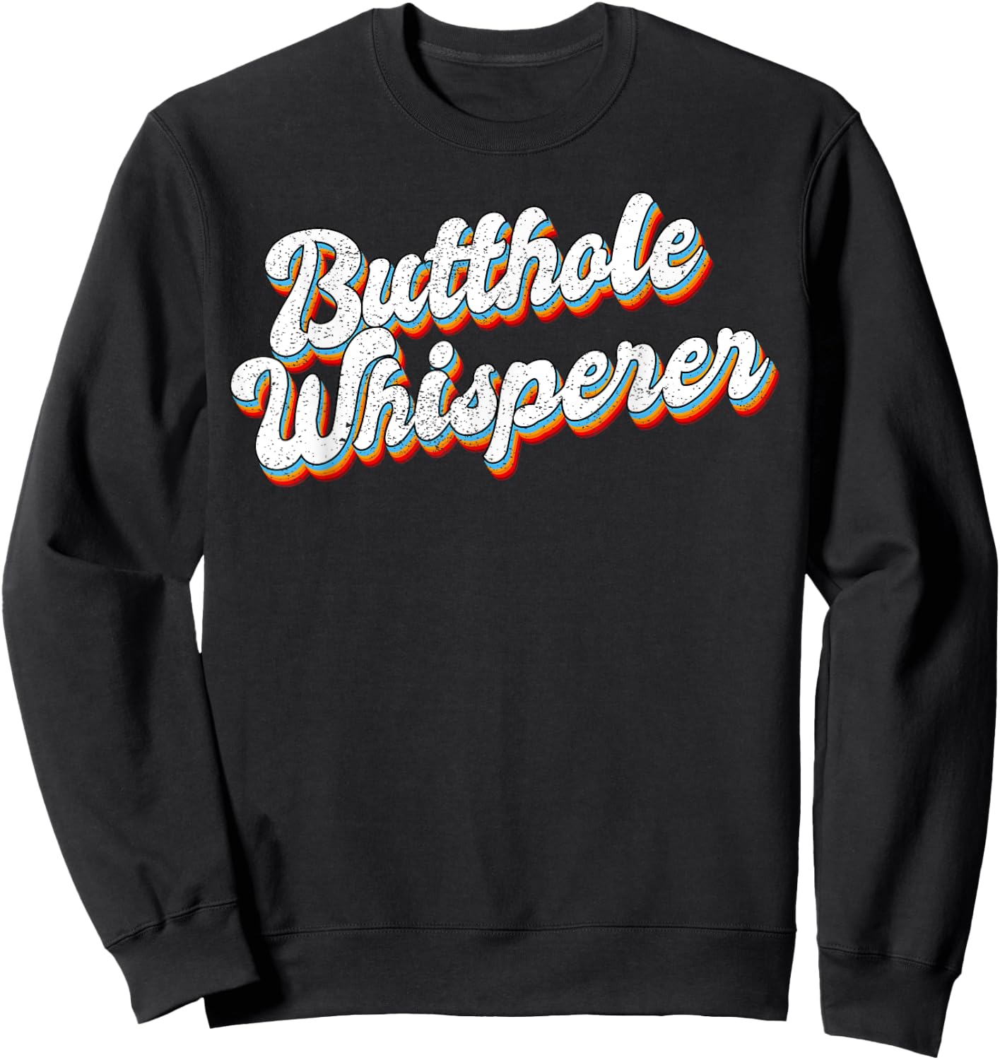 Butthole Whisperer Retro Vintage Sarcastic Joke Proctologist Sweatshirt - Sweatshirt | Black