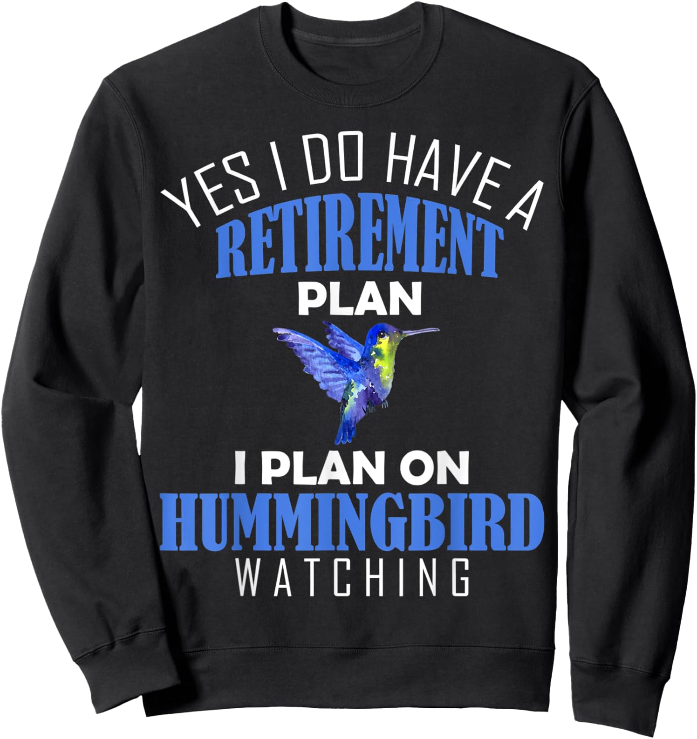 Retirement Plan Hummingbird Watching Animal Bird Lover Sweatshirt - Sweatshirt | Black