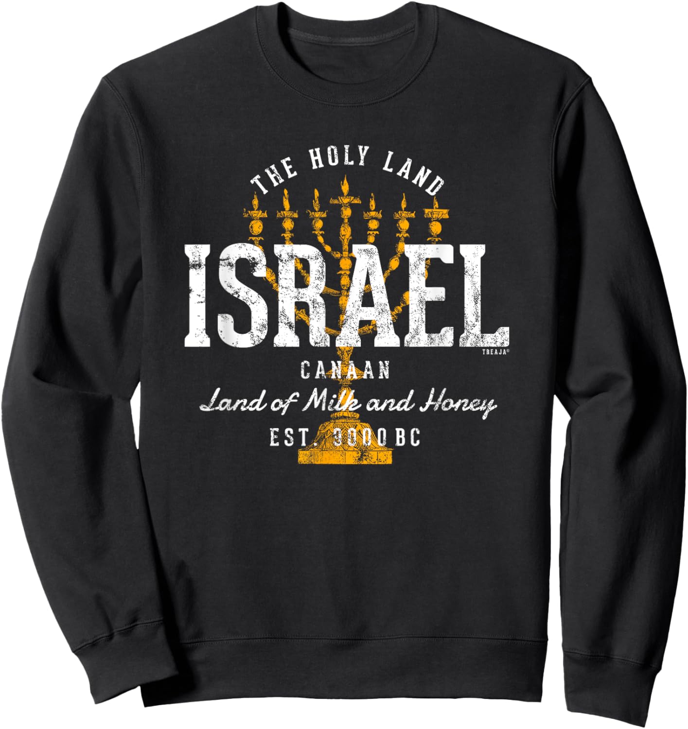 Vintage Style Retro Israel Sweatshirt - Sweatshirt | Black