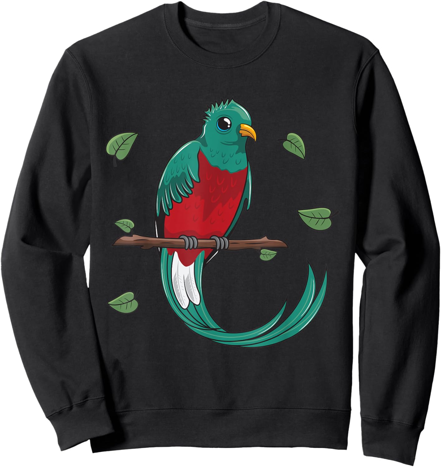 Cartoon Quetzal Bird I Kids I Parrot I Children Bird Sweatshirt - Sweatshirt | Black