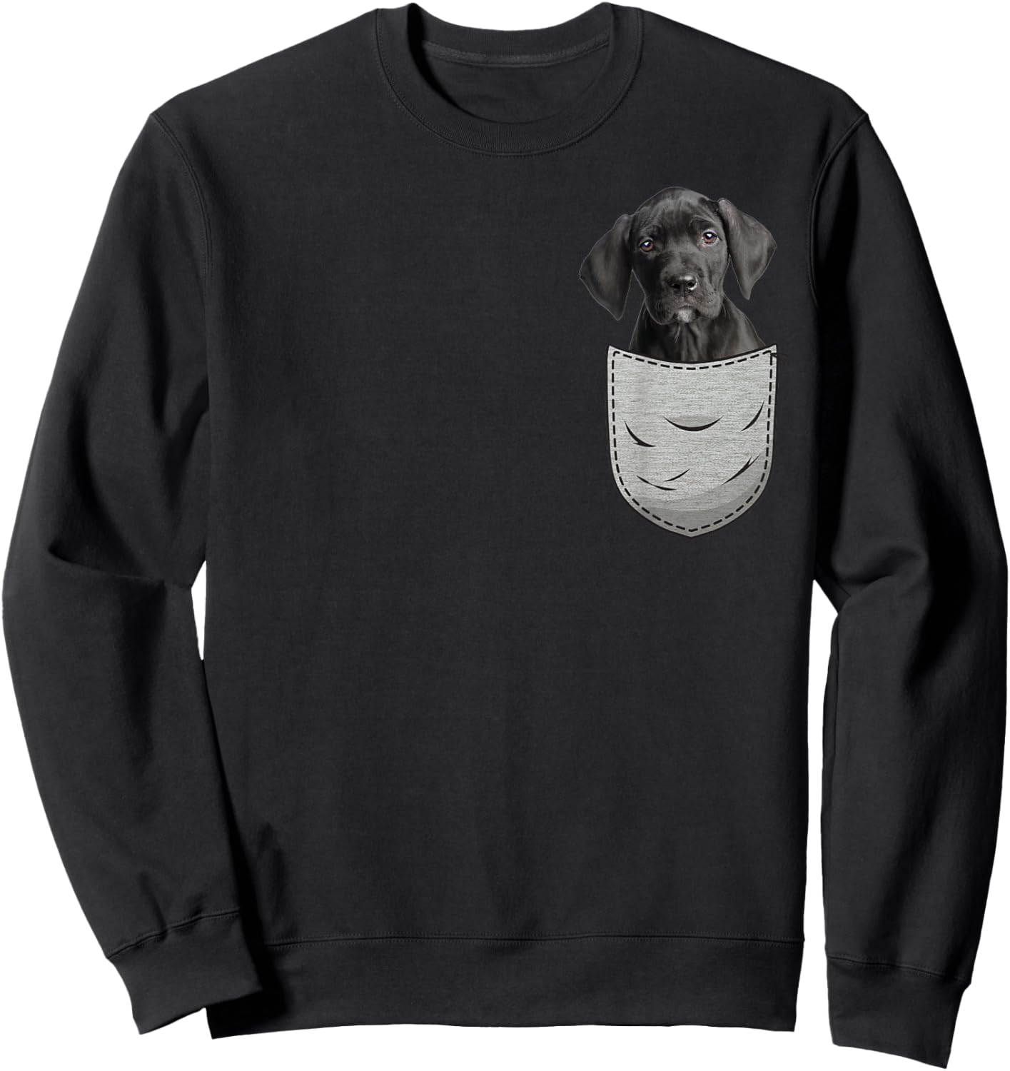 Great Dane Puppy Apollo of Dogs Gentle Giant Lady Sweatshirt - Sweatshirt | Black