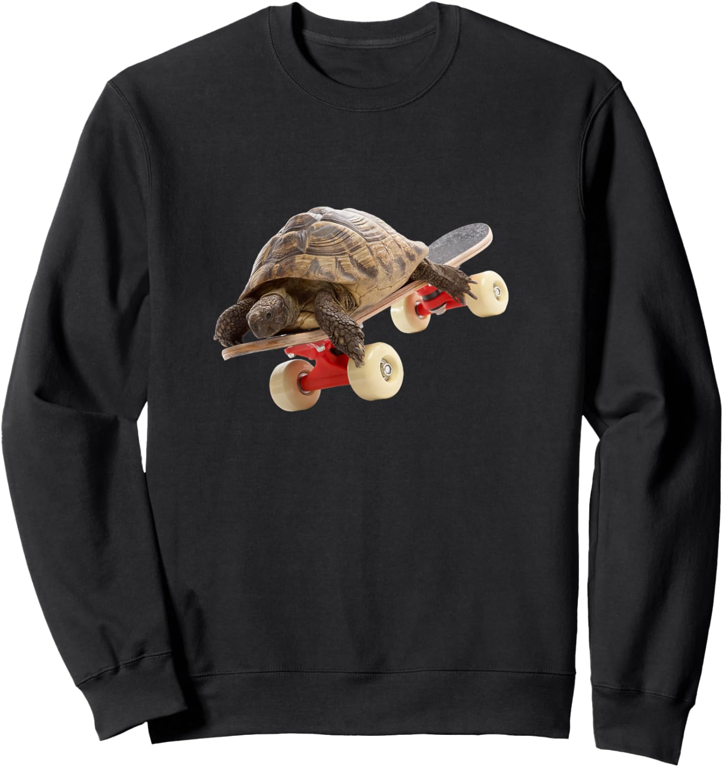 Turtle on Skateboard Sweatshirt - Sweatshirt | Black