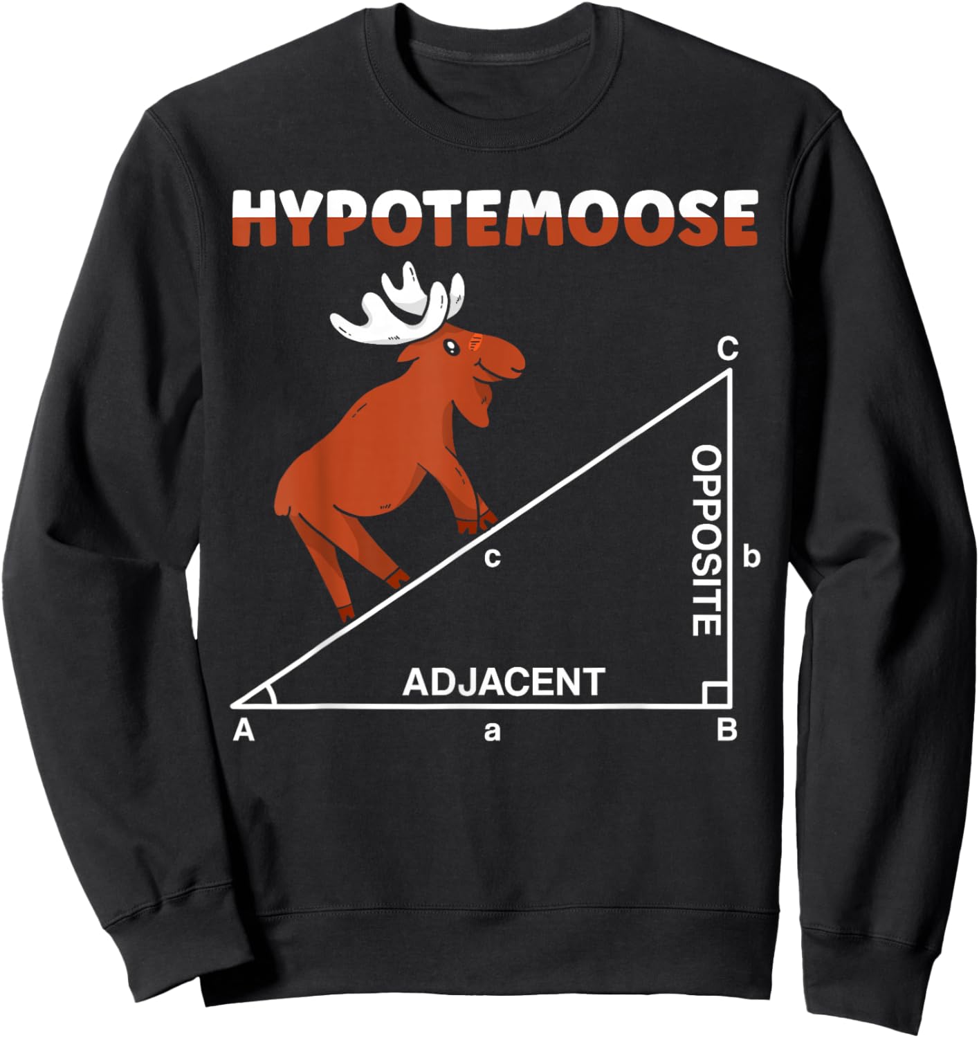 Hypotemoose Mathematics Teacher Mathematician Math Geek Sweatshirt - Sweatshirt | Black