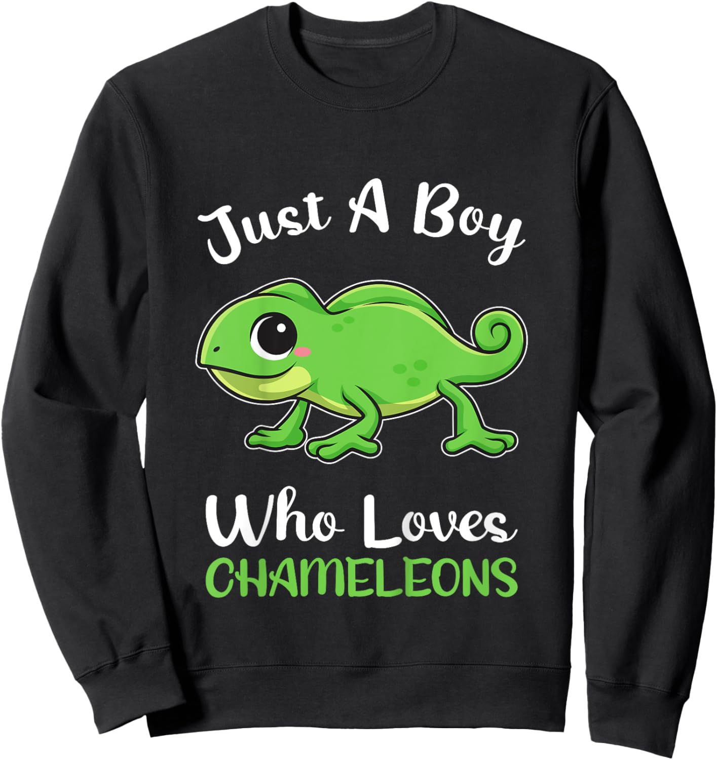 Kids Just A Boy Loves Chameleons Boys Kids Pajamas Sweatshirt - Sweatshirt | Black