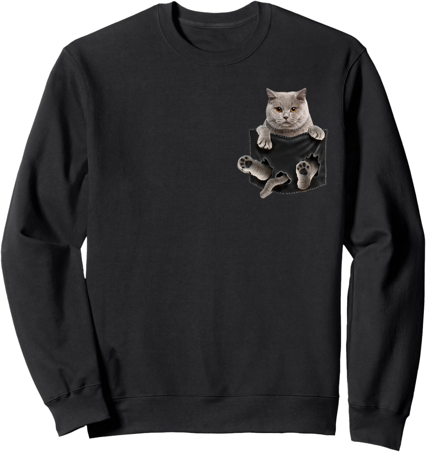 British Shorthair Cat in Pocket Sweatshirt - Sweatshirt | Black