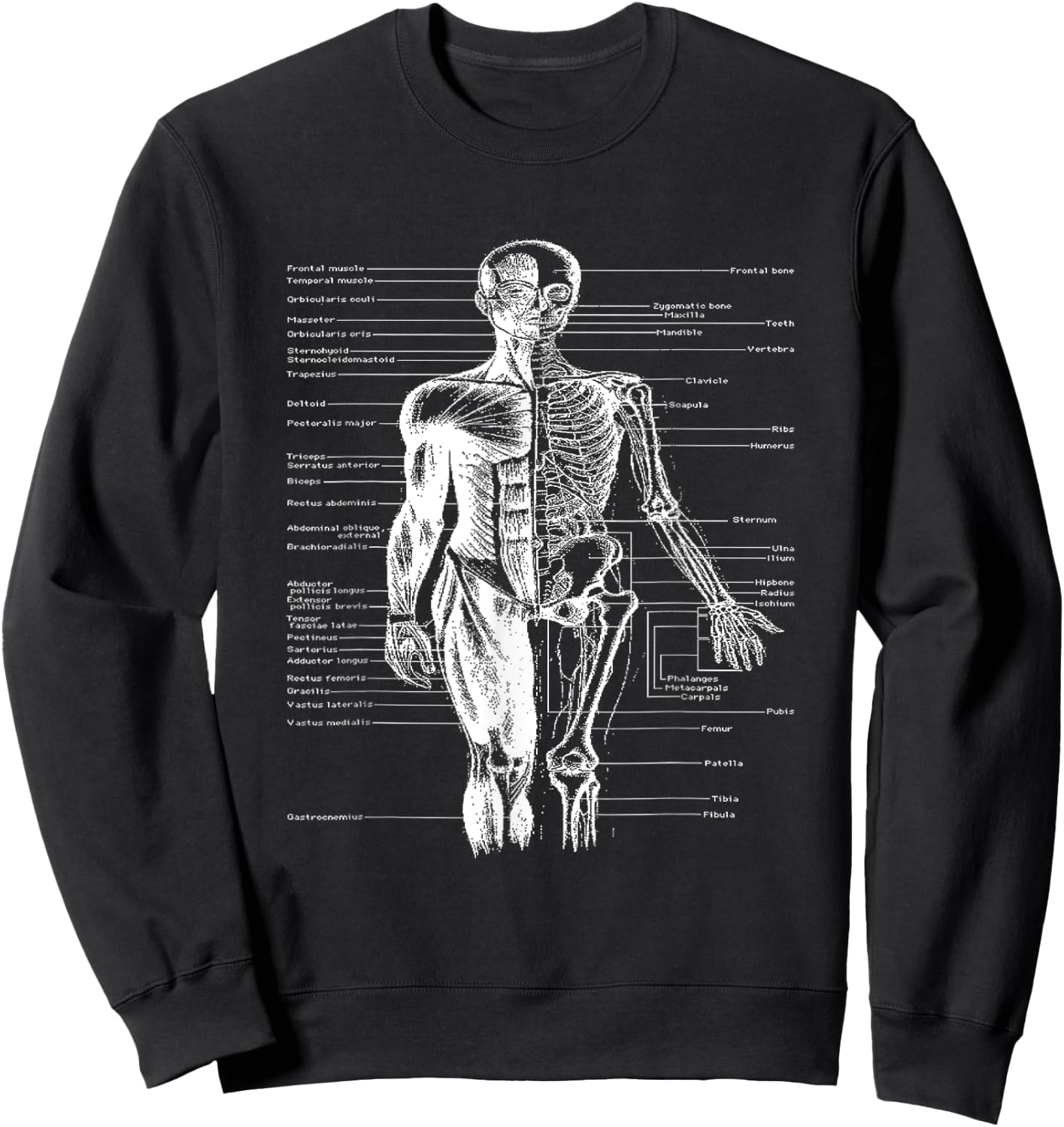 Human Body Muscle Anatomy Doctor Sweatshirt - Sweatshirt | Black