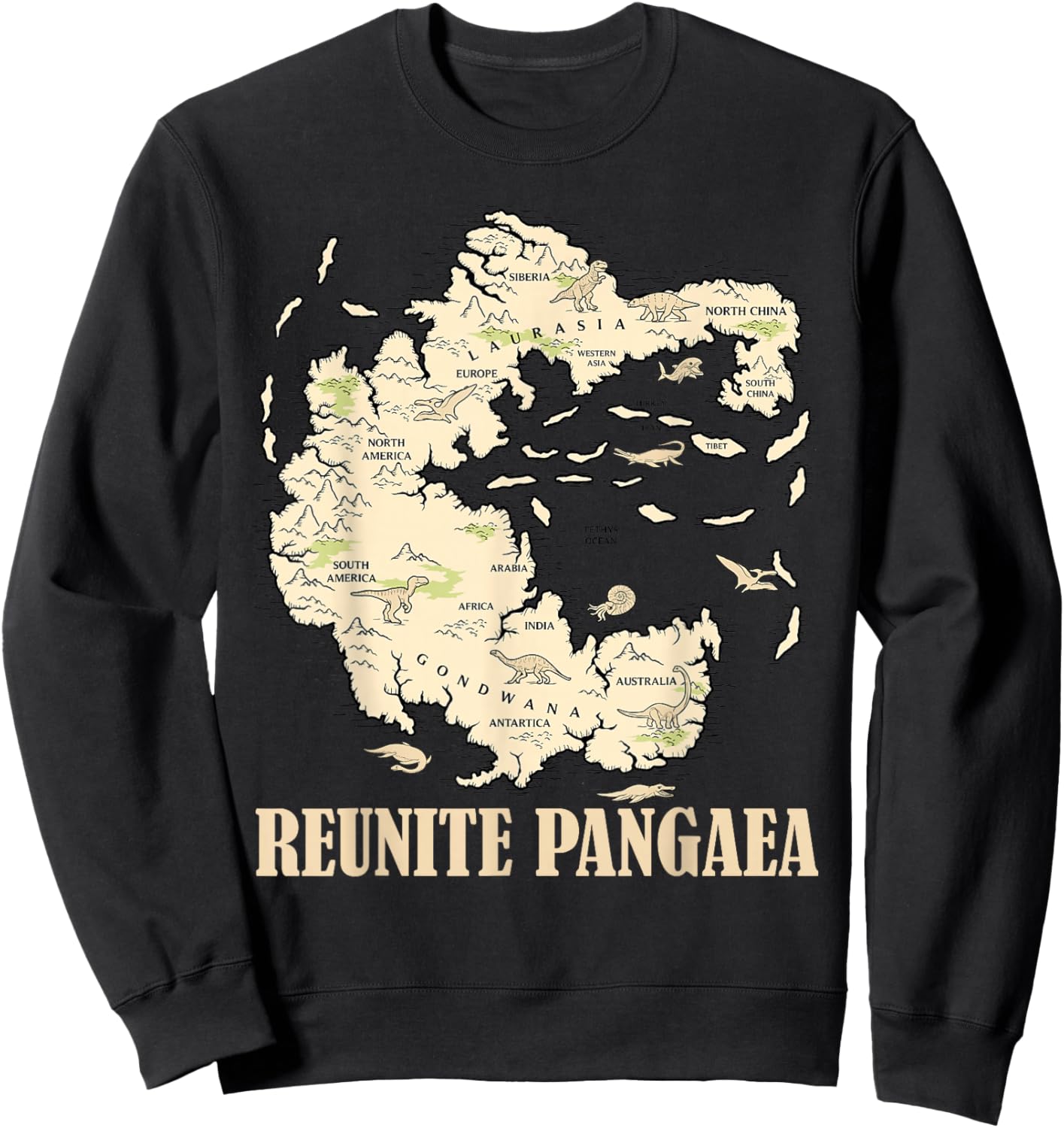 Reunion Pangaea World Map History Geology Sweatshirt - Sweatshirt | Black