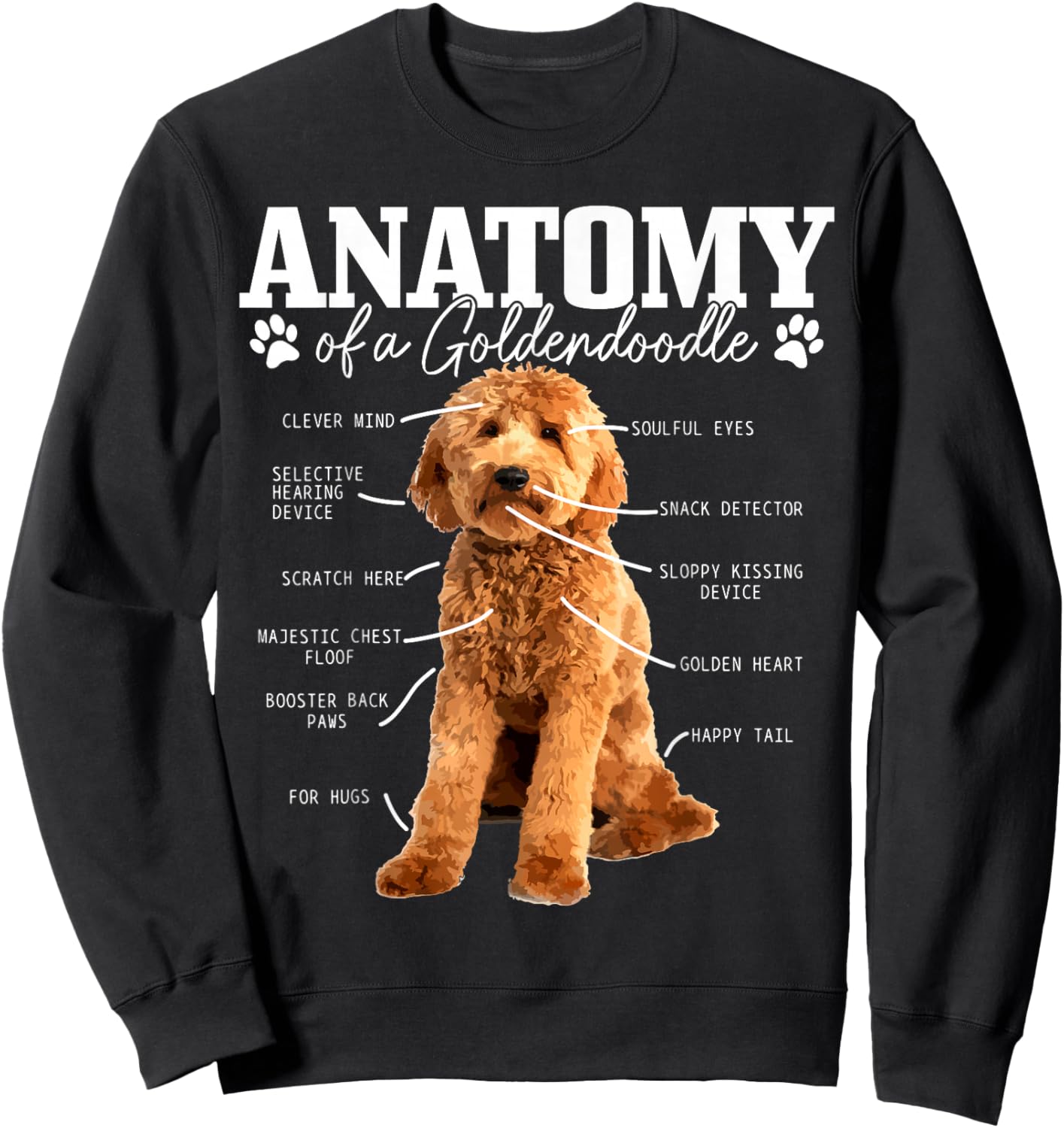 Anatomy of A Goldendoodle Funny Cute Dog Doodle Mom Dad Sweatshirt - Sweatshirt | Black