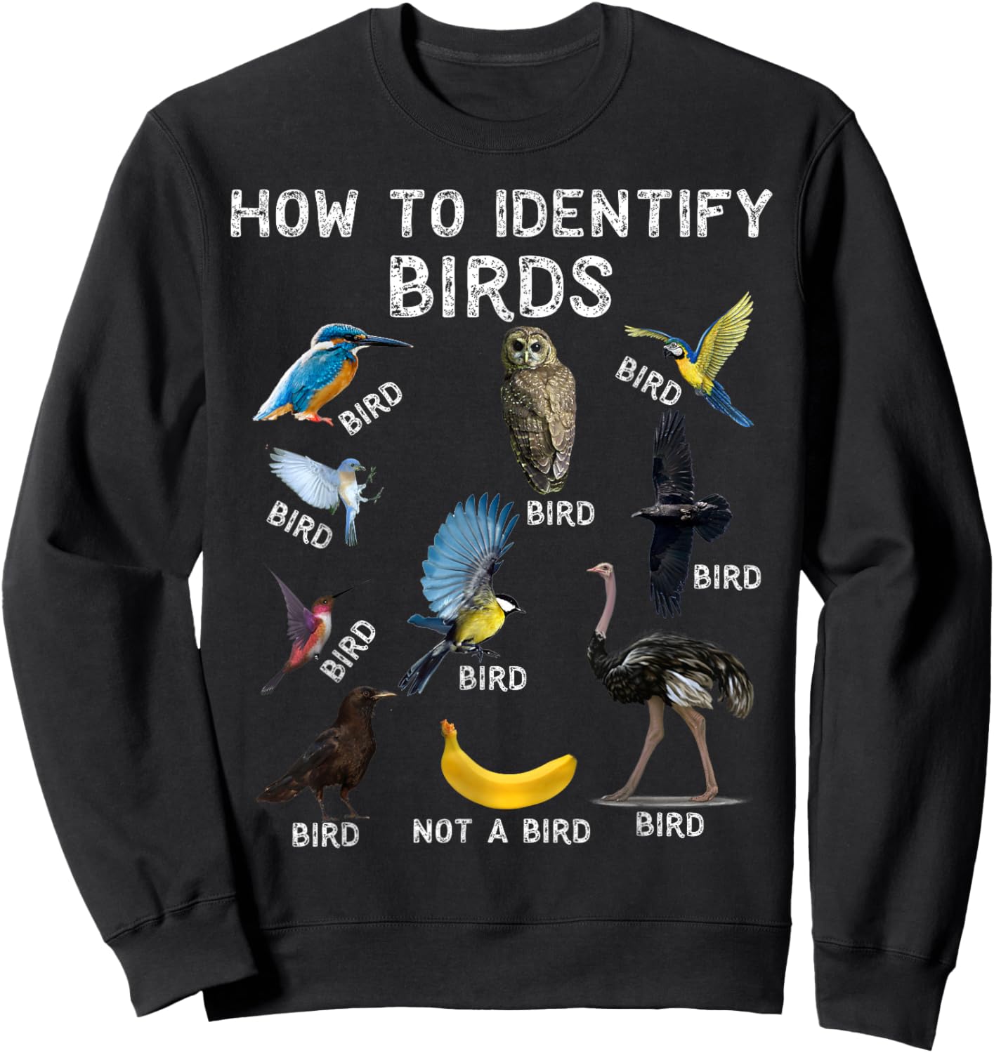 How To Identify Birds Bird Watcher Sweatshirt - Sweatshirt | Black