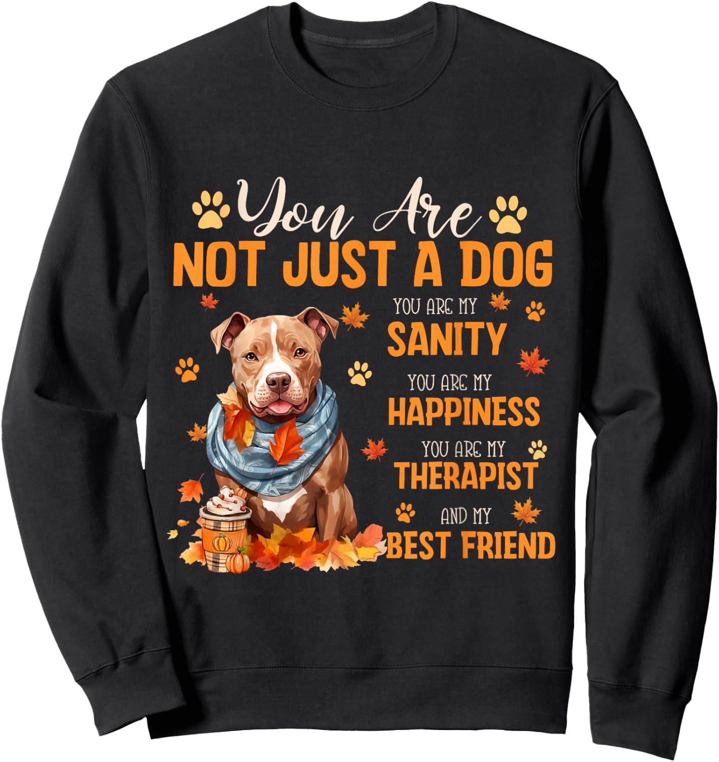 Pitbull You Are Not Just A Dog Thanksgiving Fall Autumn Men Women Kids Sweatshirt - Sweatshirt | Black