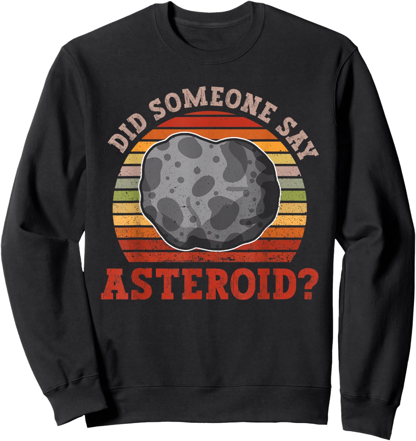 Did Someone Say Asteroid? - Asteroid Space Astronomy Sweatshirt - Sweatshirt | Black