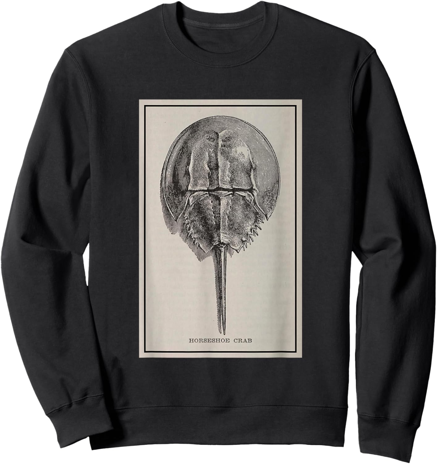 Vintage Horseshoe Crab Illustration (1923) Sweatshirt - Sweatshirt | Black