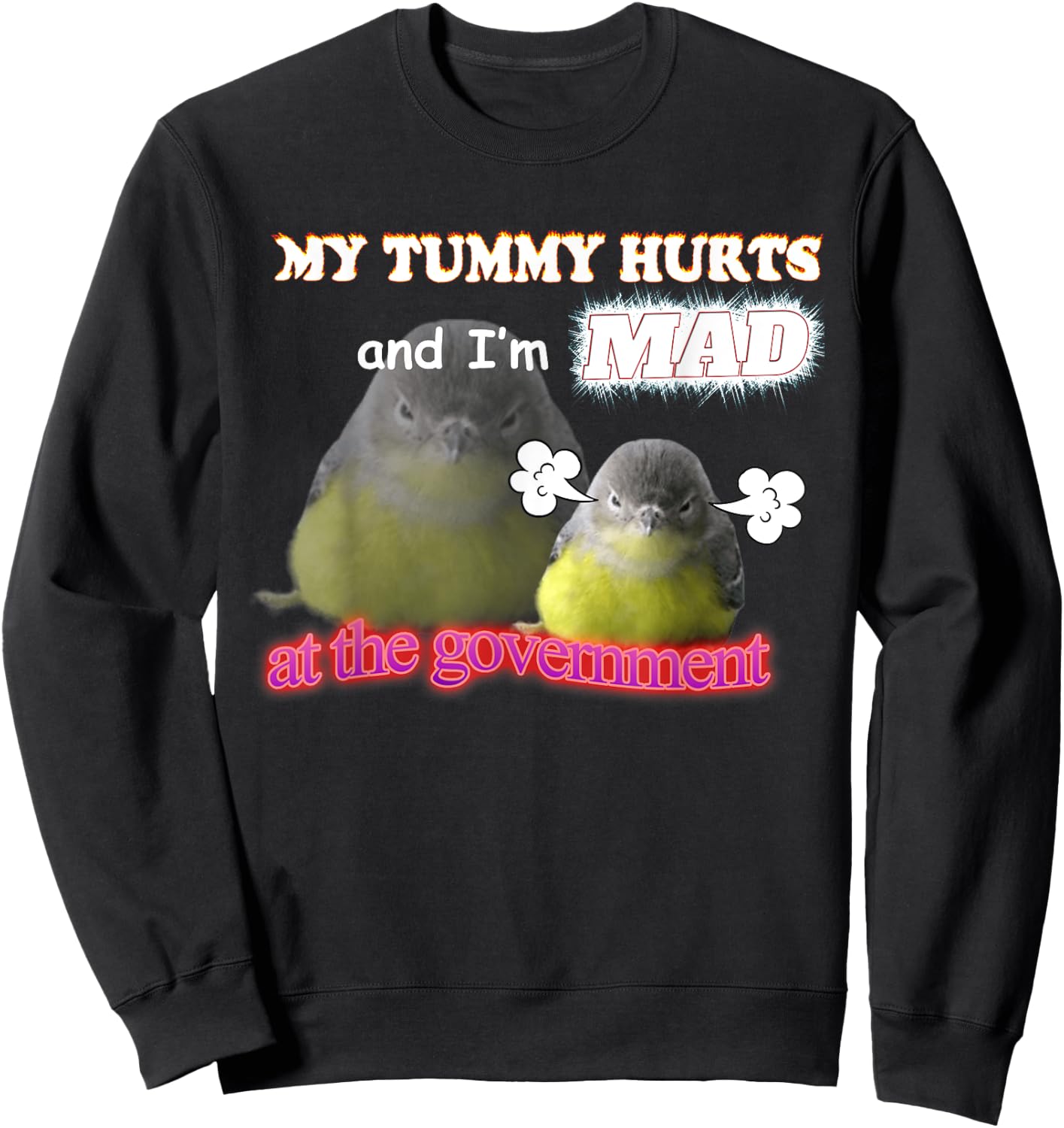 My Tummy Hurts And I'm Mad At The Government Birb Meme Sweatshirt - Sweatshirt | Black