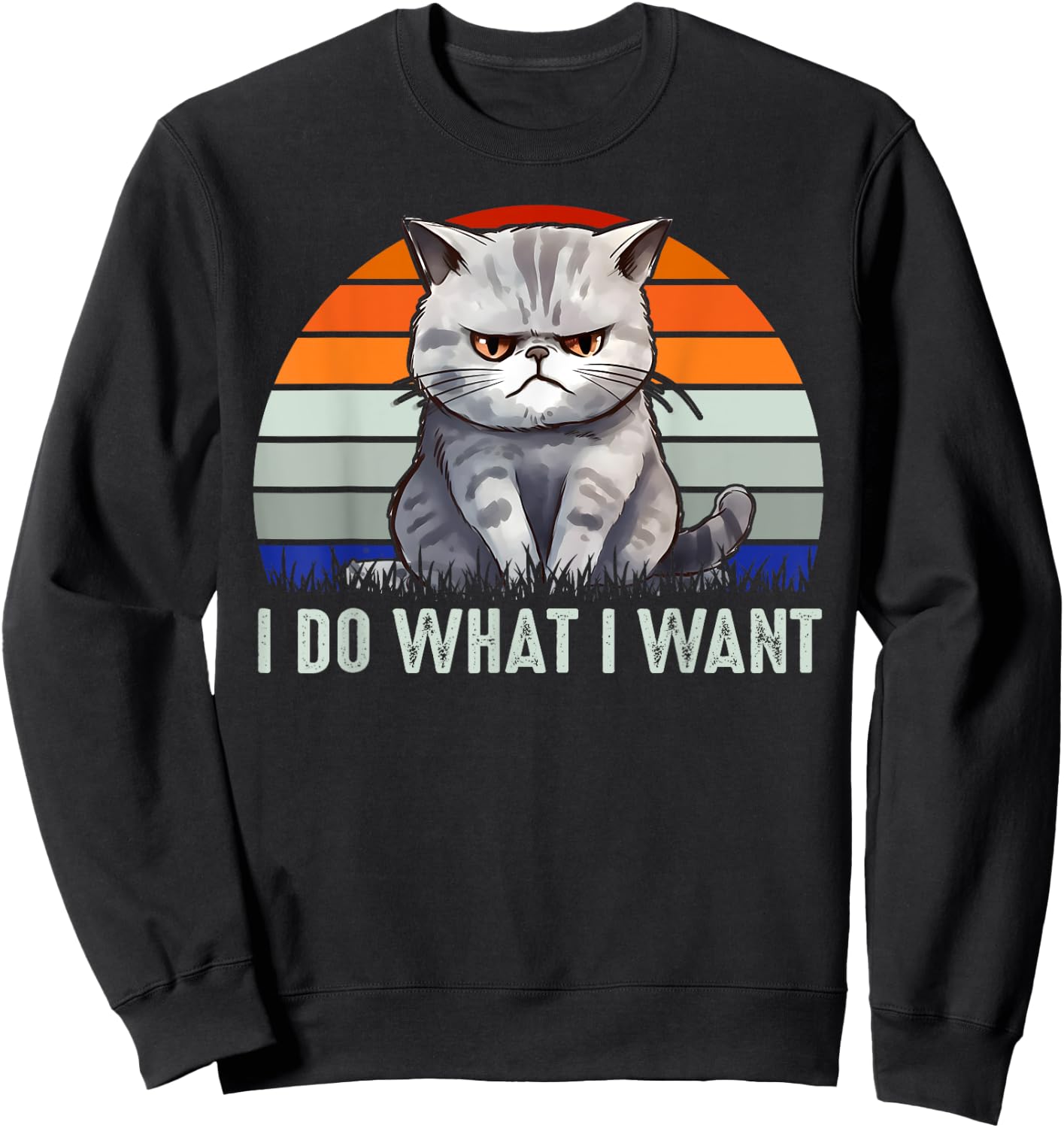 Funny I Do What I Want Retro Vintage Cat Lovers Cat Owners Sweatshirt - Sweatshirt | Black