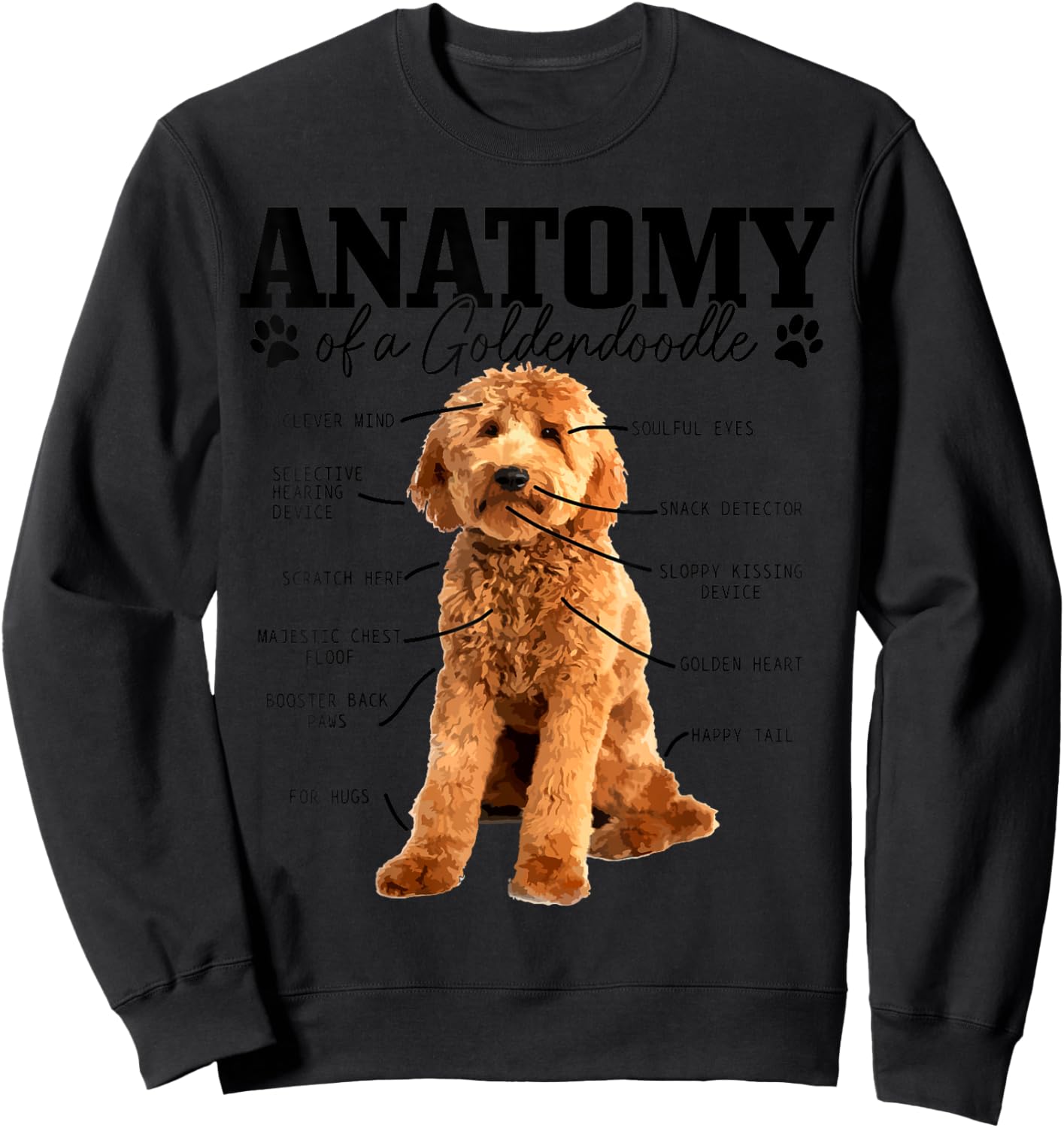 Anatomy Of A Goldendoodle Funny Cute Dog Doodle Mom Dad Women Kids Sweatshirt - Sweatshirt | Black