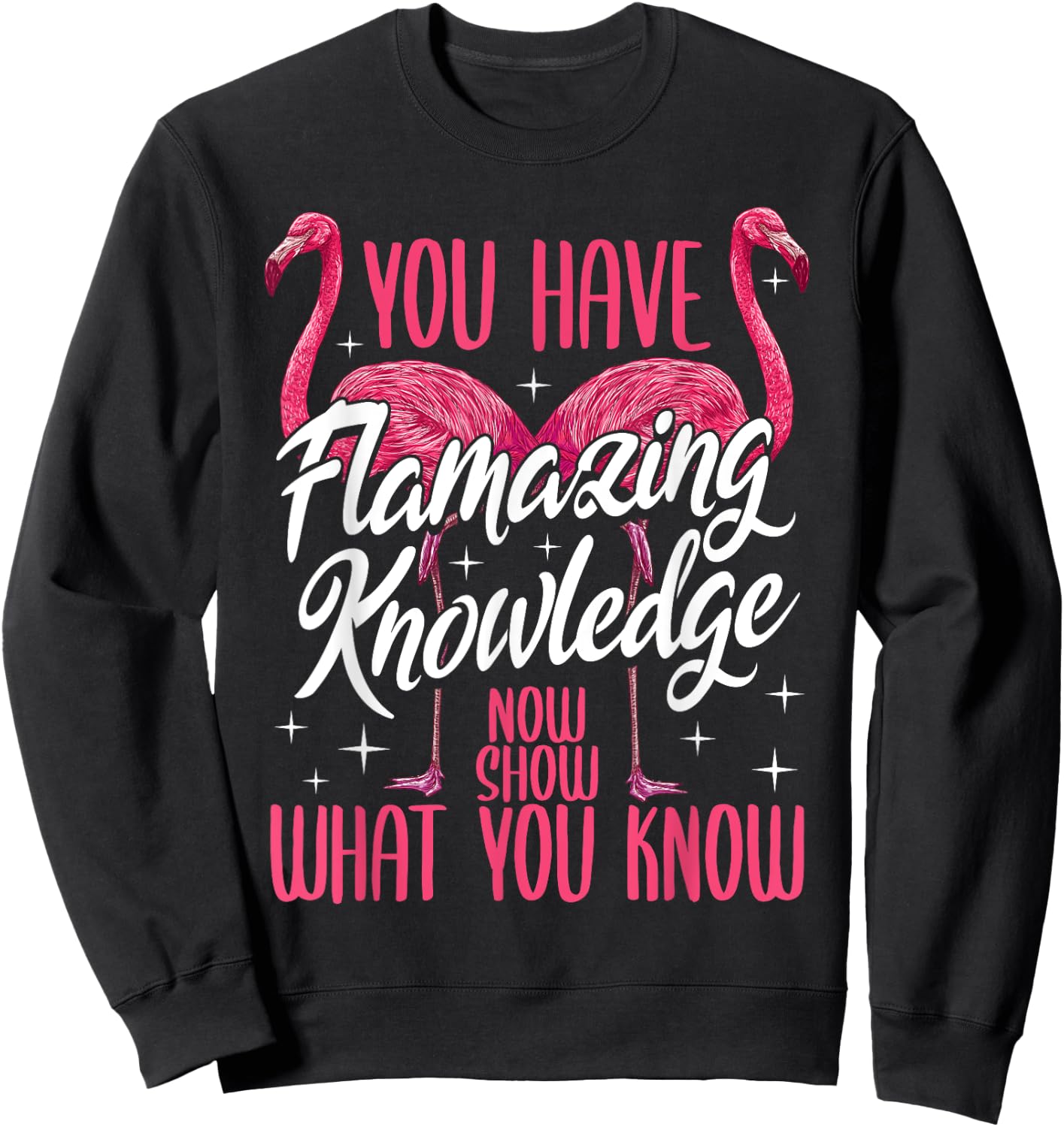 Test Day Teacher You Have Flamazing Knowledge Flamingo Sweatshirt - Sweatshirt | Black