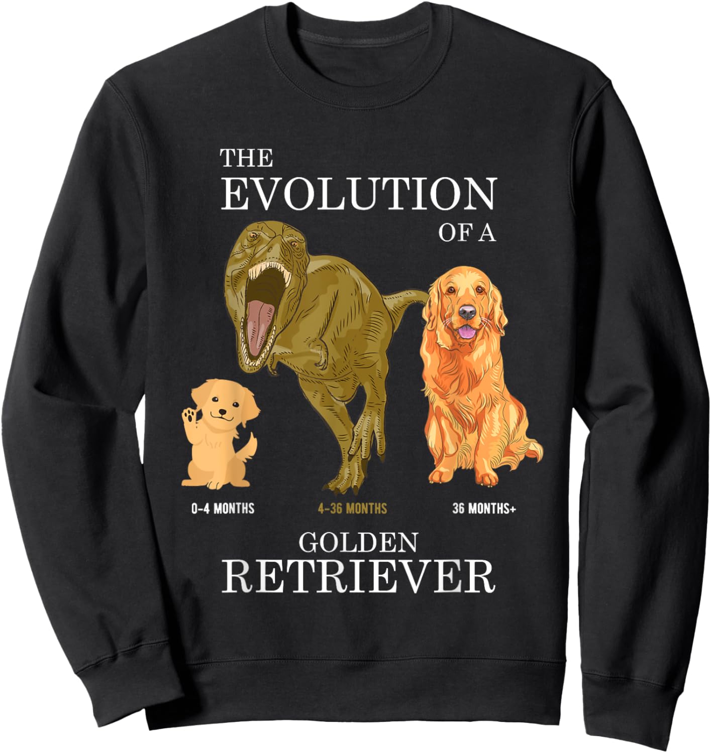 The Evolution of a Golden Retriever or Evolution of dogs Sweatshirt - Sweatshirt | Black