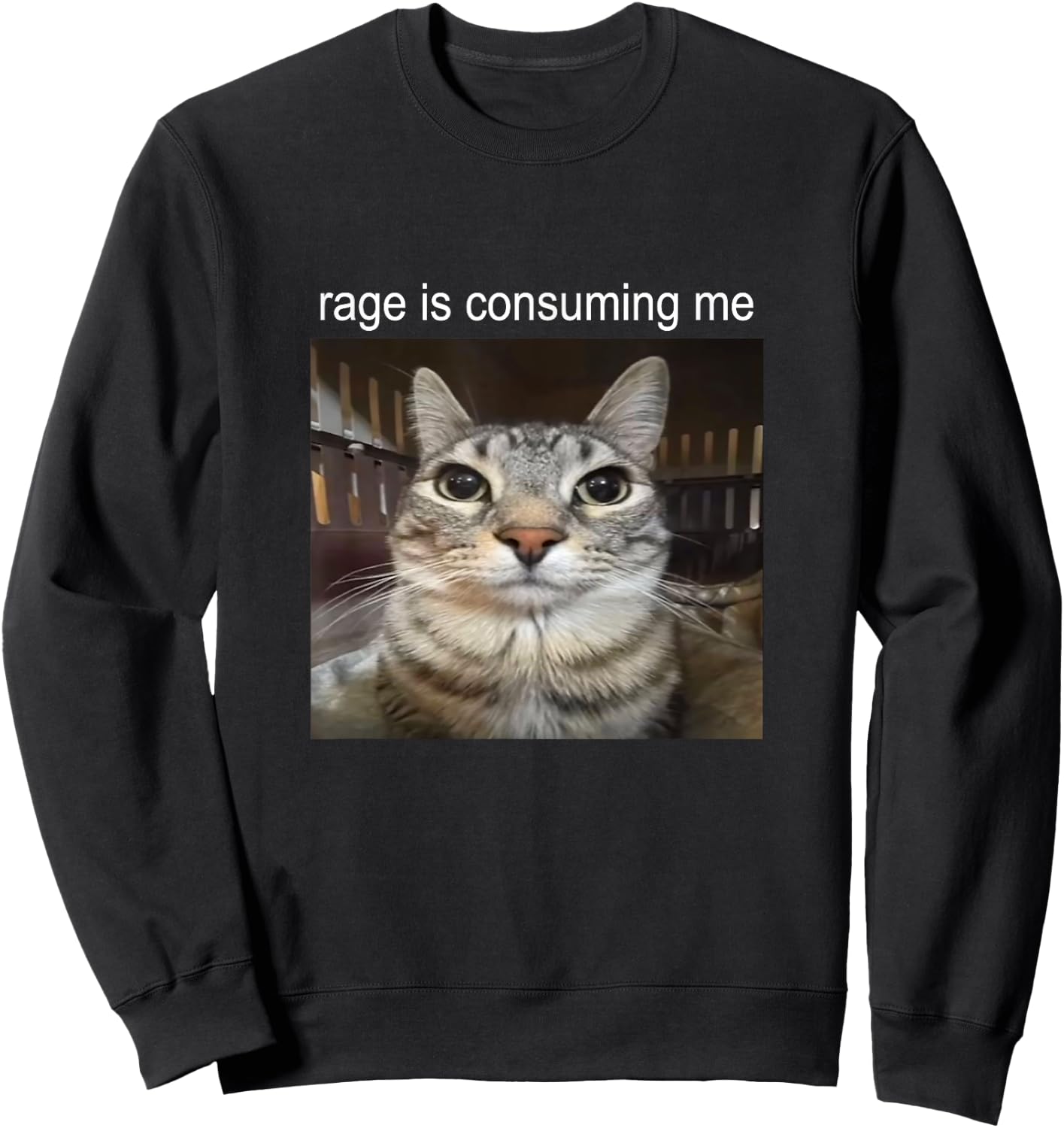 Rage is Consuming Me Silly Staring Cat Meme Sweatshirt - Sweatshirt | Black