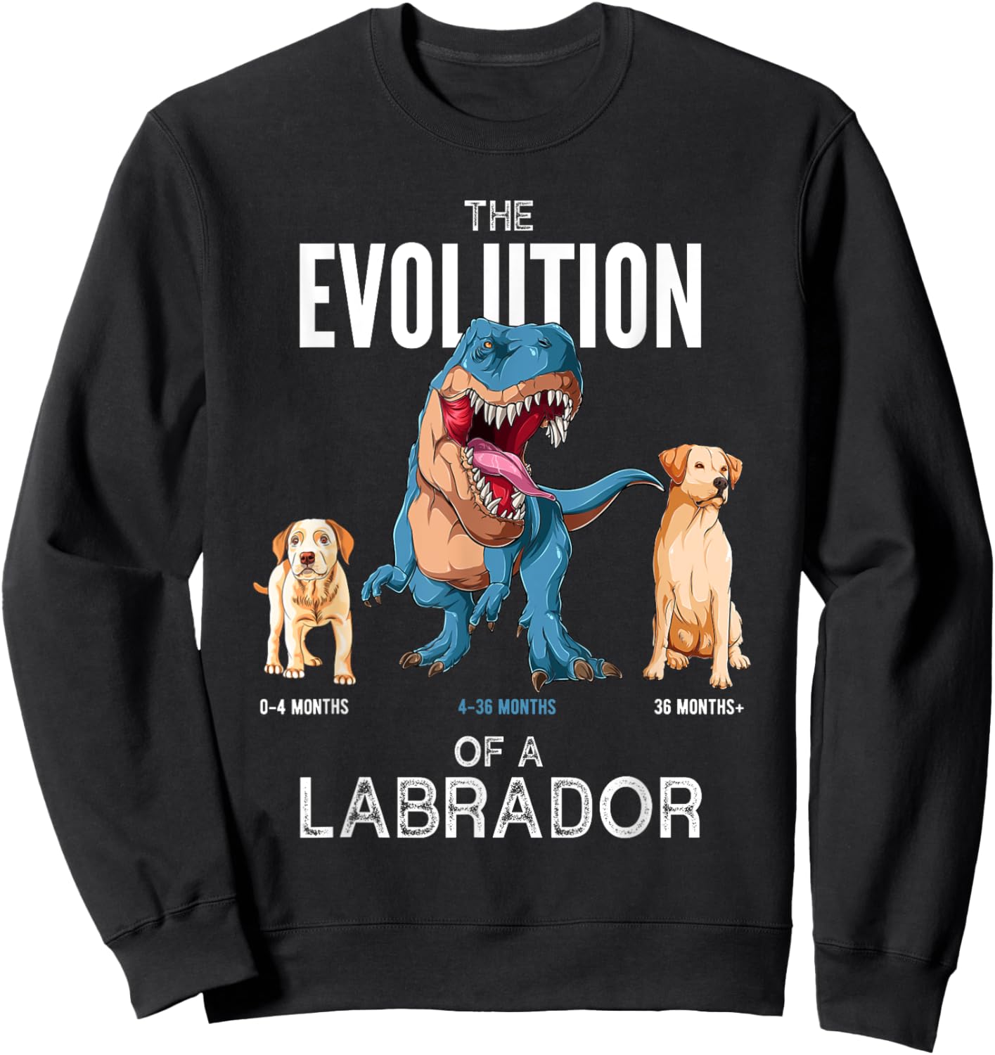 The Evolution of a Labrador or Evolution of dogs Sweatshirt - Sweatshirt | Black