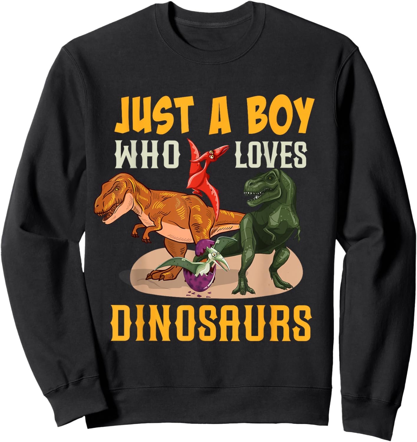 Just a Boy Who Loves Dinosaurs Young Paleontologist Sweatshirt - Sweatshirt | Black