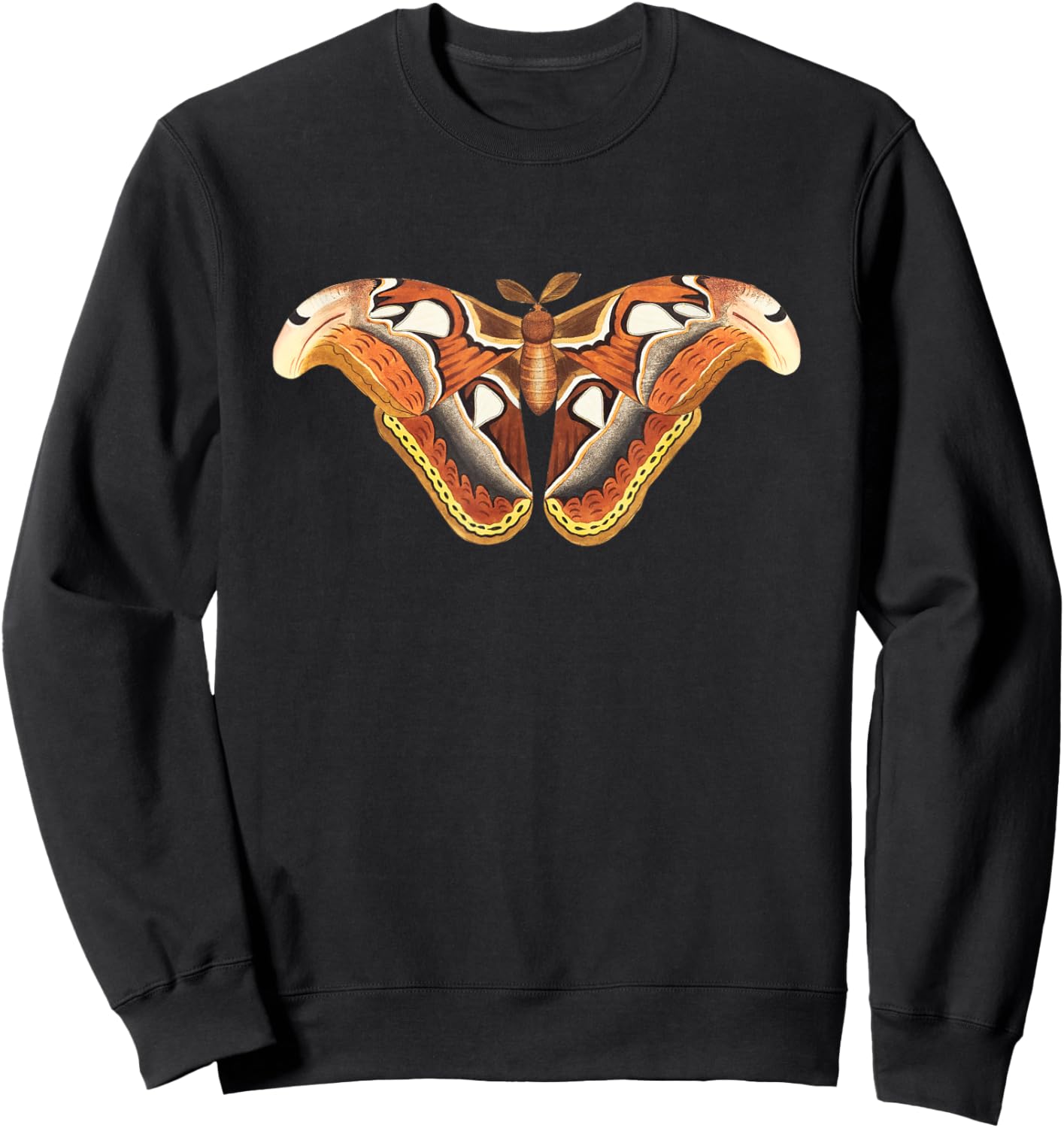 Atlas Moth Butterfly Insect Illustration & Women Sweatshirt - Sweatshirt | Black