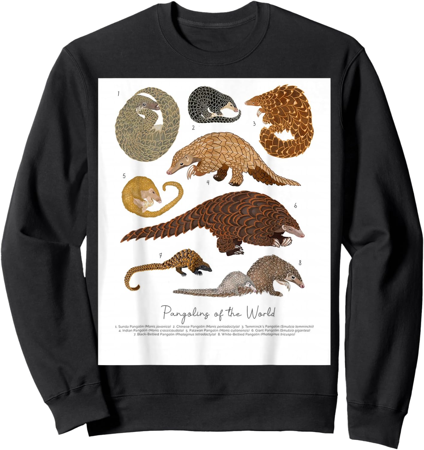 Pangolins of the World, Loves Pangolins Gifts Sweatshirt - Sweatshirt | Black