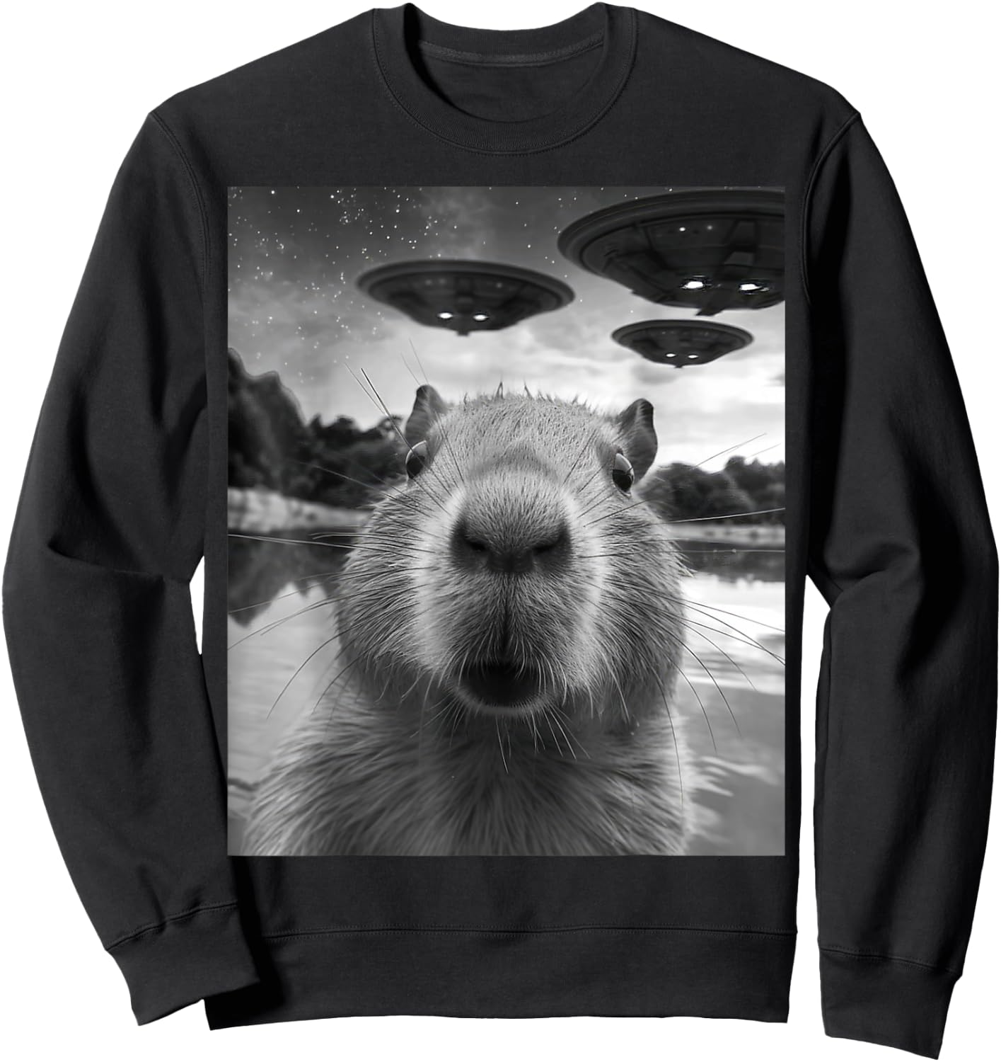 Capybara Selfie with UFOs Weird Sweatshirt - Sweatshirt | Black