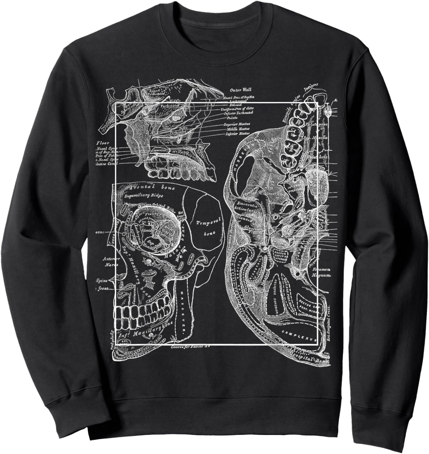 Neuroscience Gifts Anatomy Of The Human Cranial Bones Sweatshirt - Sweatshirt | Black