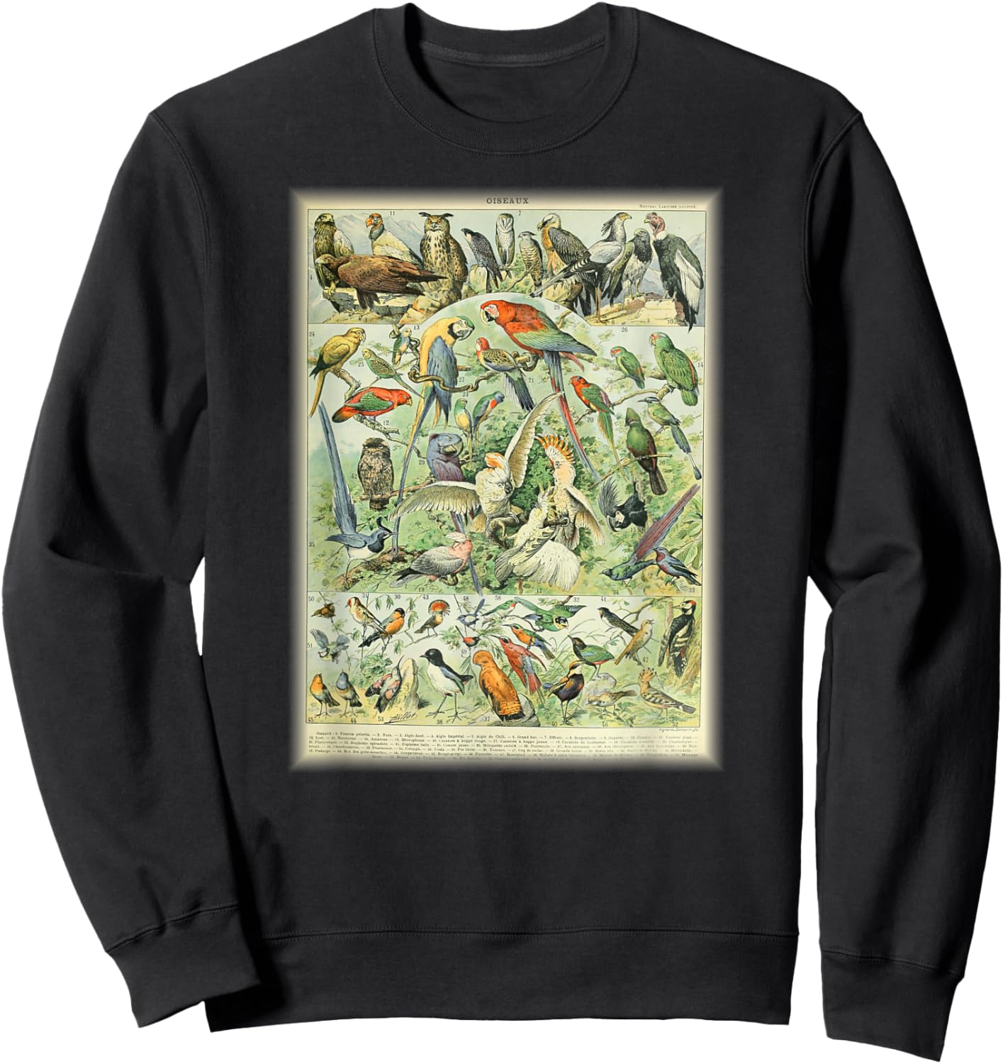 Scientific Bird Illustration Lover Biologist Birding Gift Sweatshirt - Sweatshirt | Black