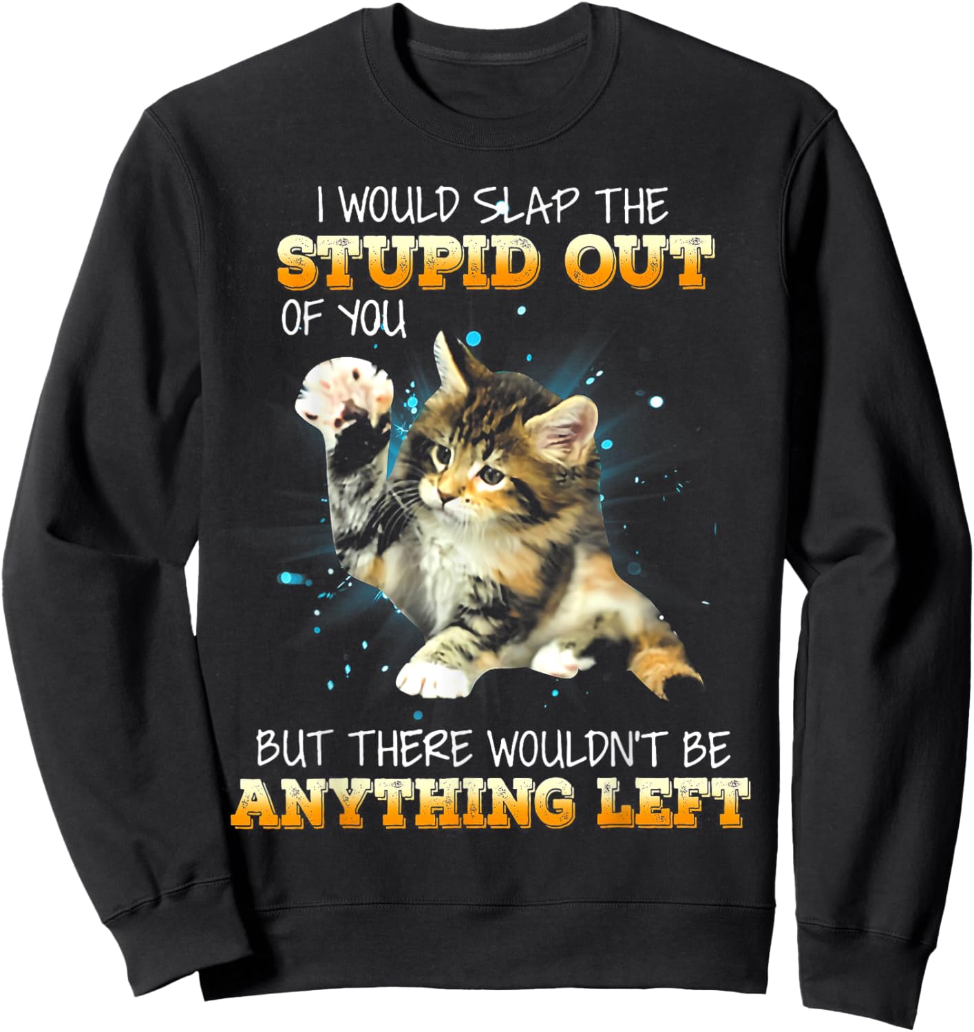 Cat I Would Slap The Stupid Out Of You Women Sweatshirt - Sweatshirt | Black