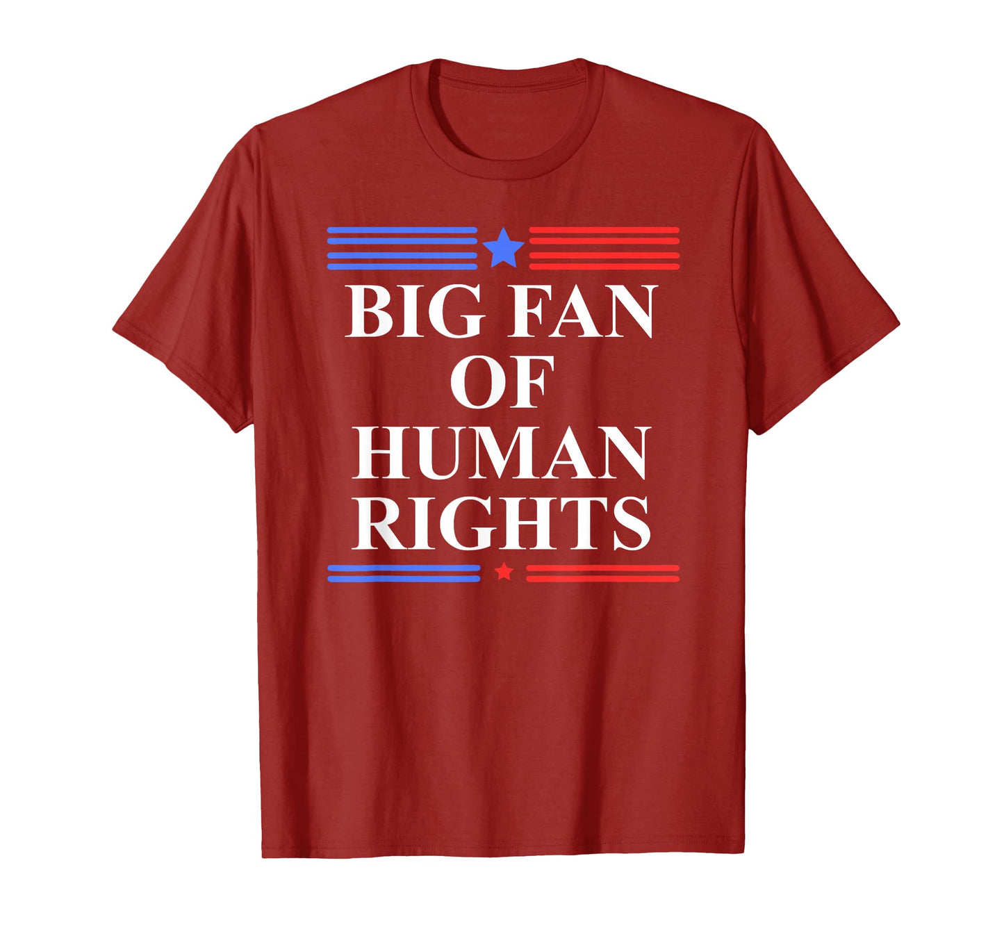 Big Fan of Human Rights Protest Signs No Kings Pro Democracy T-Shirt