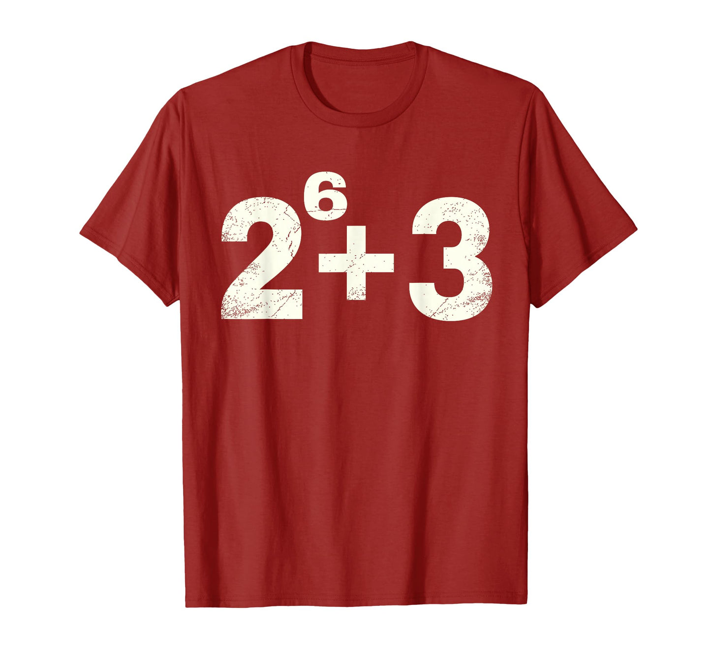 67ENDY 67 Year Old Funny Teacher 67th Birthday T-Shirt