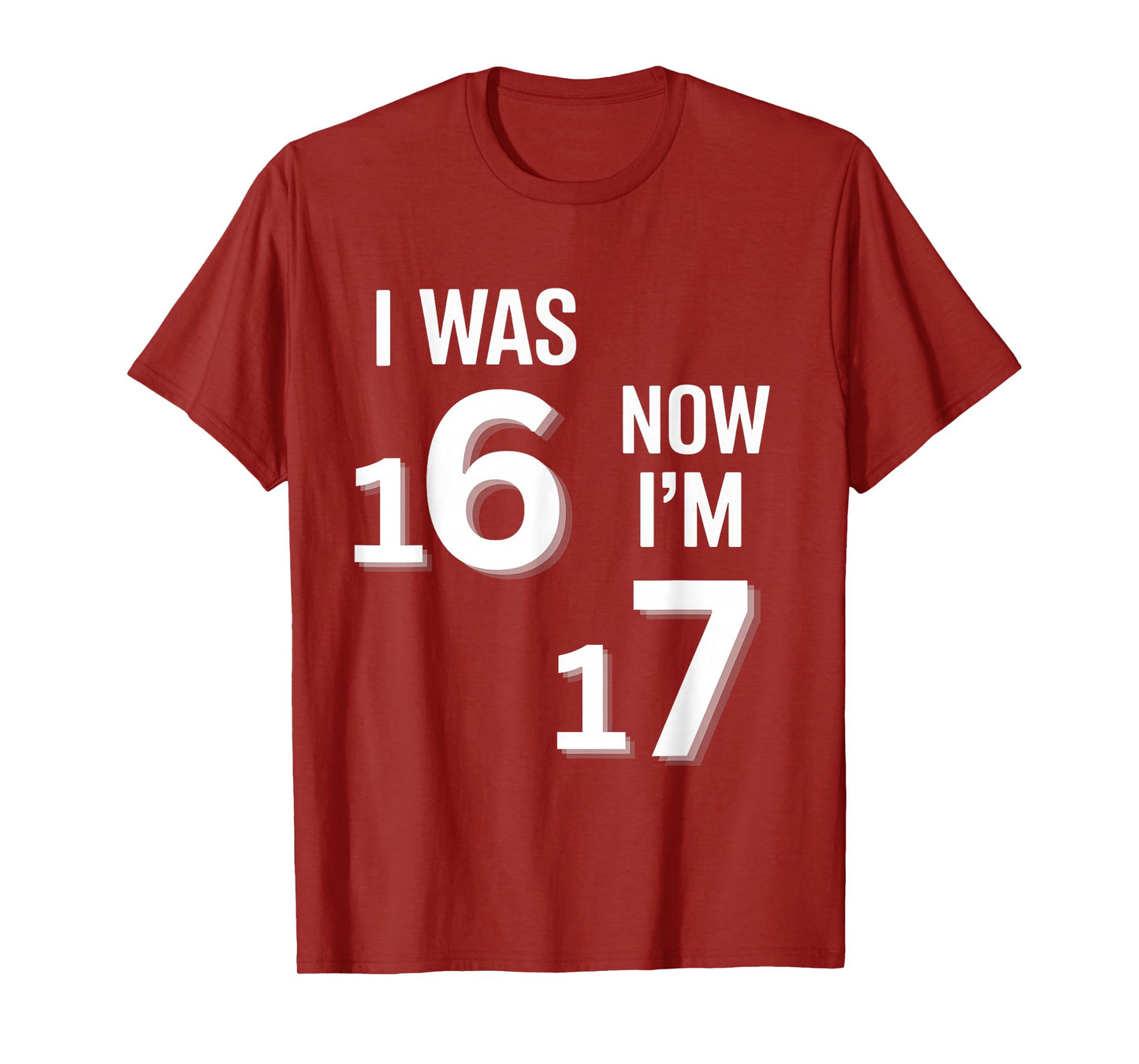17 Years Old Birthday Shirt -I was 16 Now I'm 17 Funny 67 T-Shirt