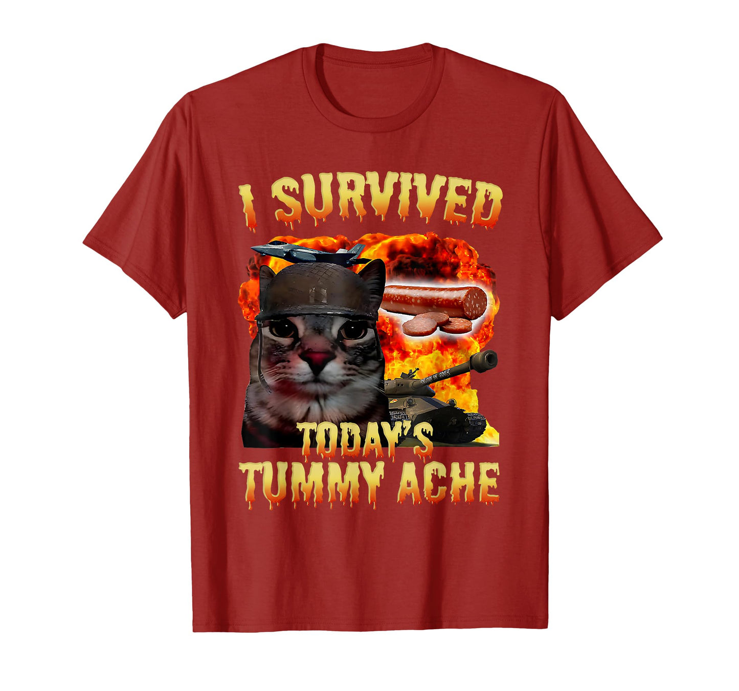Tummy Ache Survivor Cat Meme Funny Saying Cats Animals Men Women Kids T-Shirt