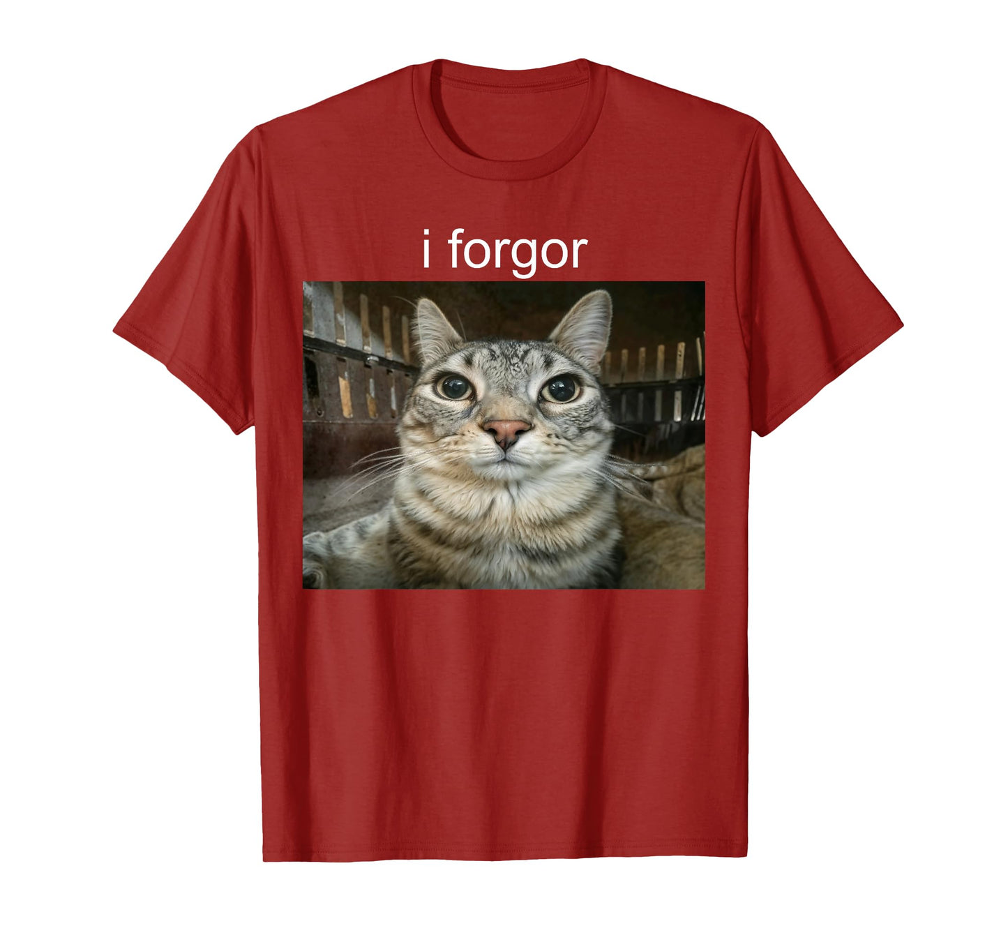 I Forgor Cat T-Shirt