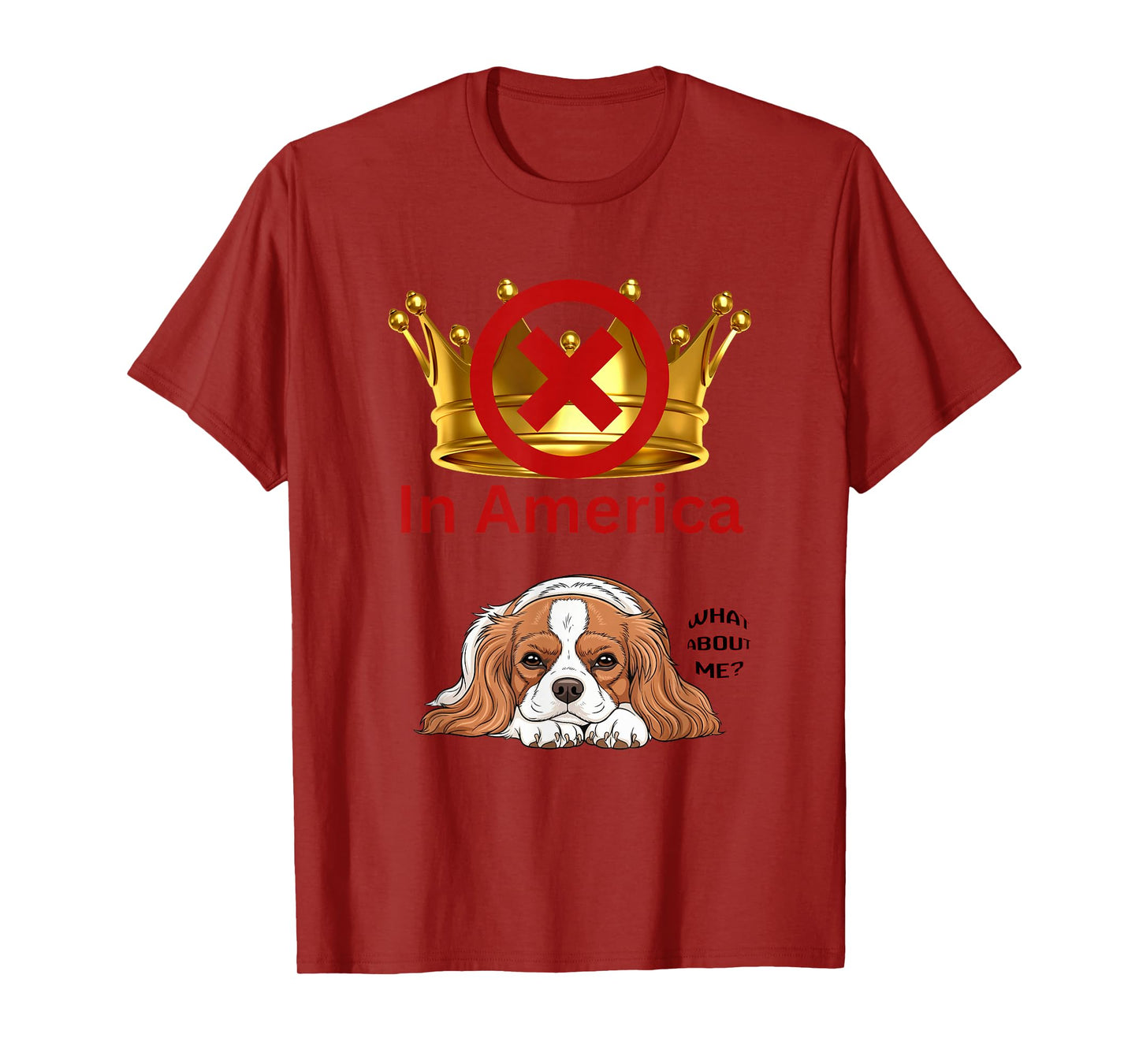 No Kings in America Apparel We The People Democracy USA T-Shirt