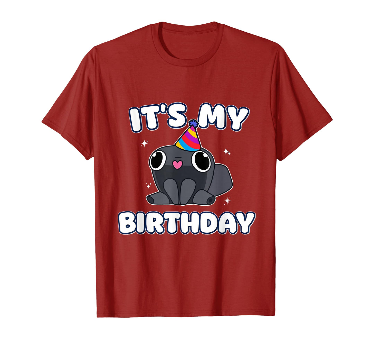 It's My Birthday Minimalist Funny dandy's Humor Decoration T-Shirt