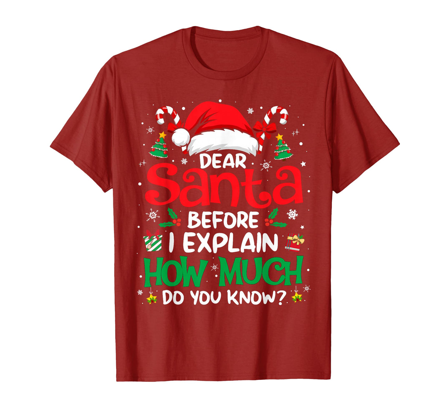 Dear Santa I Can Explain Funny Christmas Men Women Kids T-Shirt